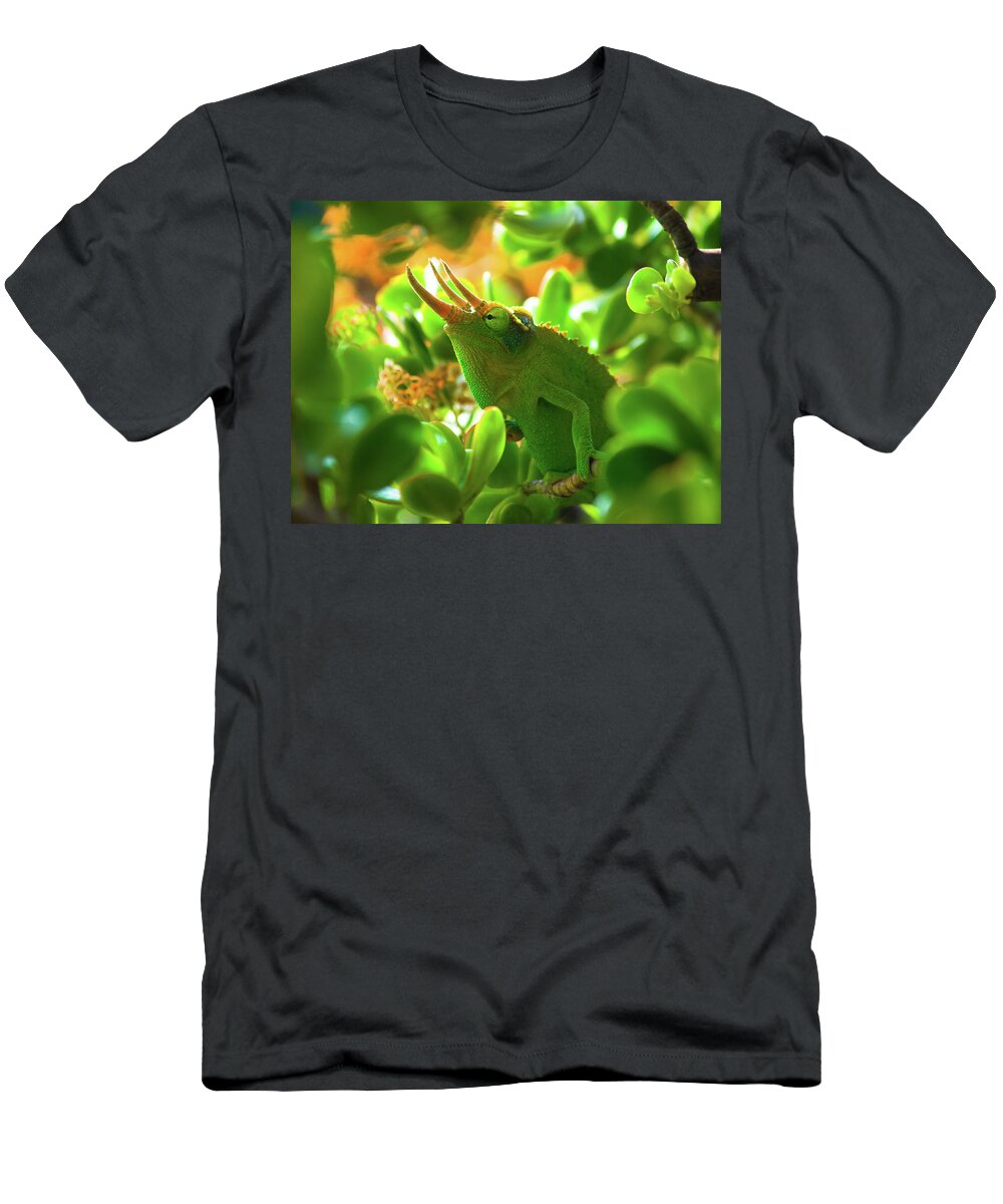 Chameleon T-Shirt featuring the photograph Chameleon King by Christopher Johnson