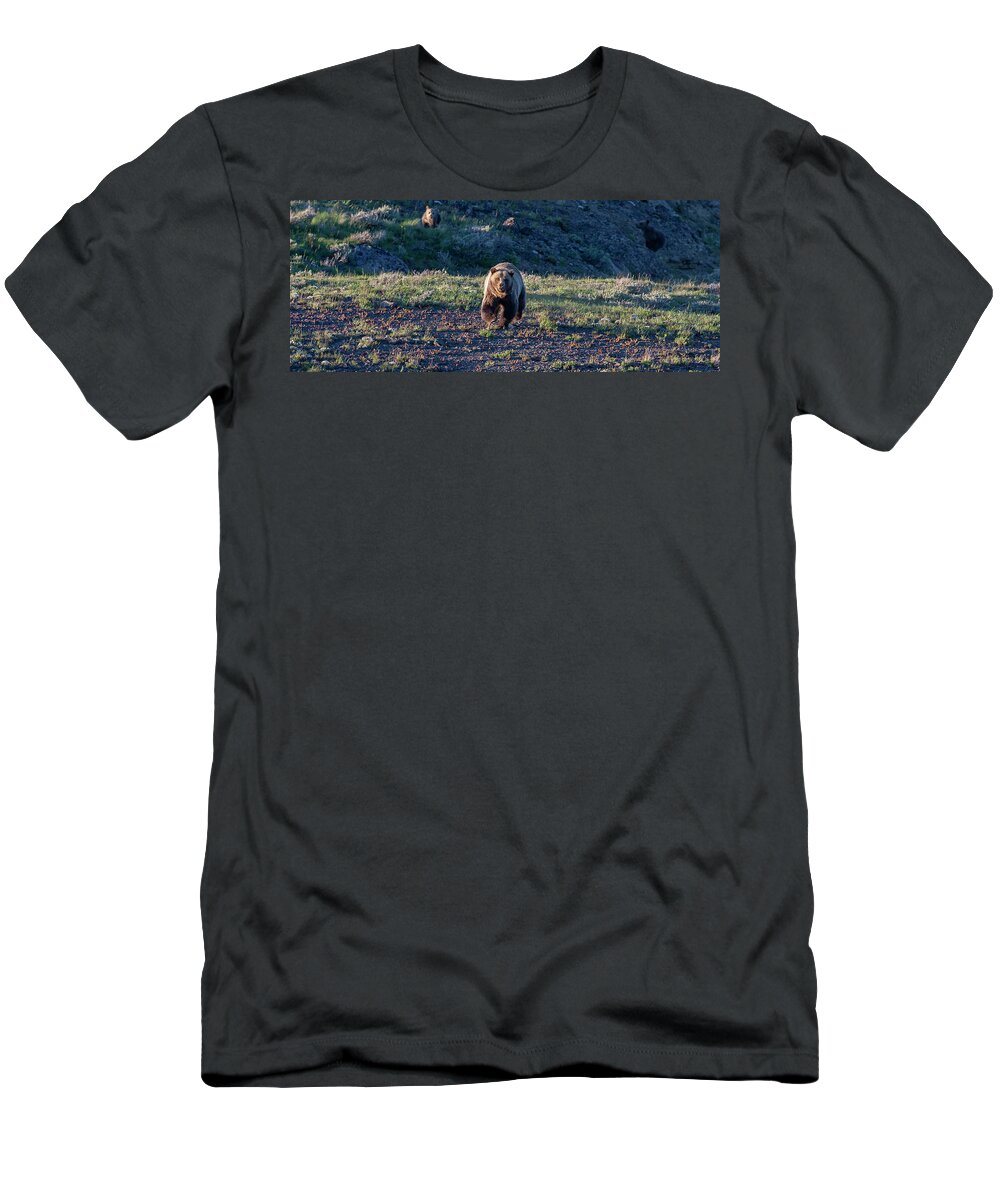 Grizzly Bear T-Shirt featuring the photograph Charging Grizzly by Mark Miller