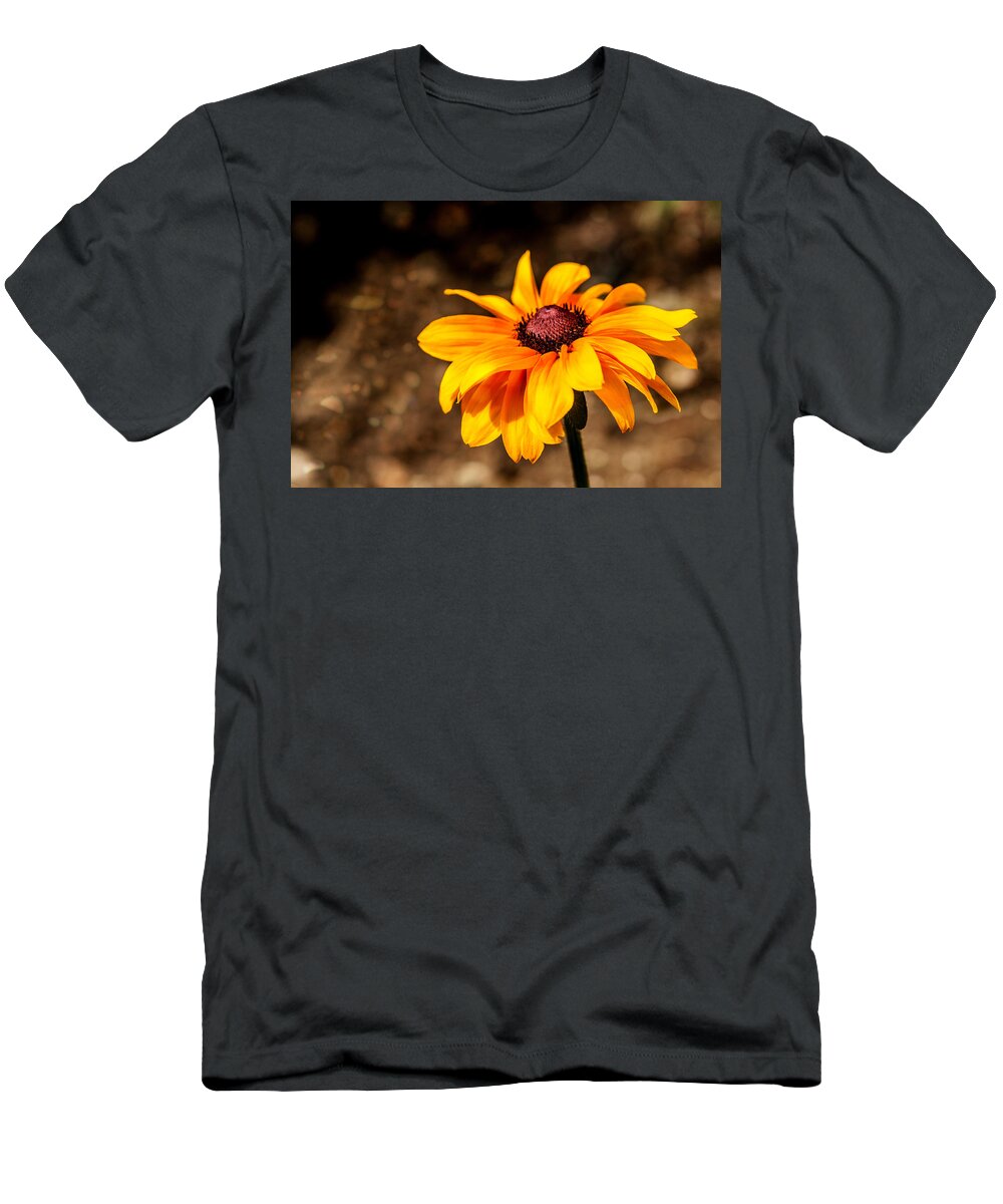 Flowers T-Shirt featuring the photograph Cheery Susie by Karol Livote