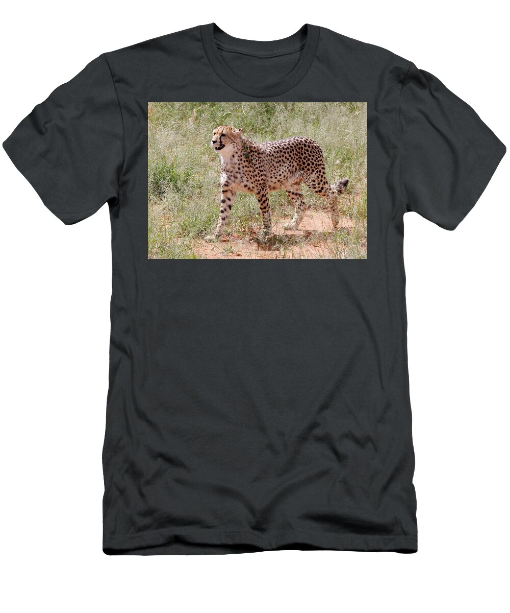 Cheetah T-Shirt featuring the painting CHEETAH no. 3 by Robert SORENSEN