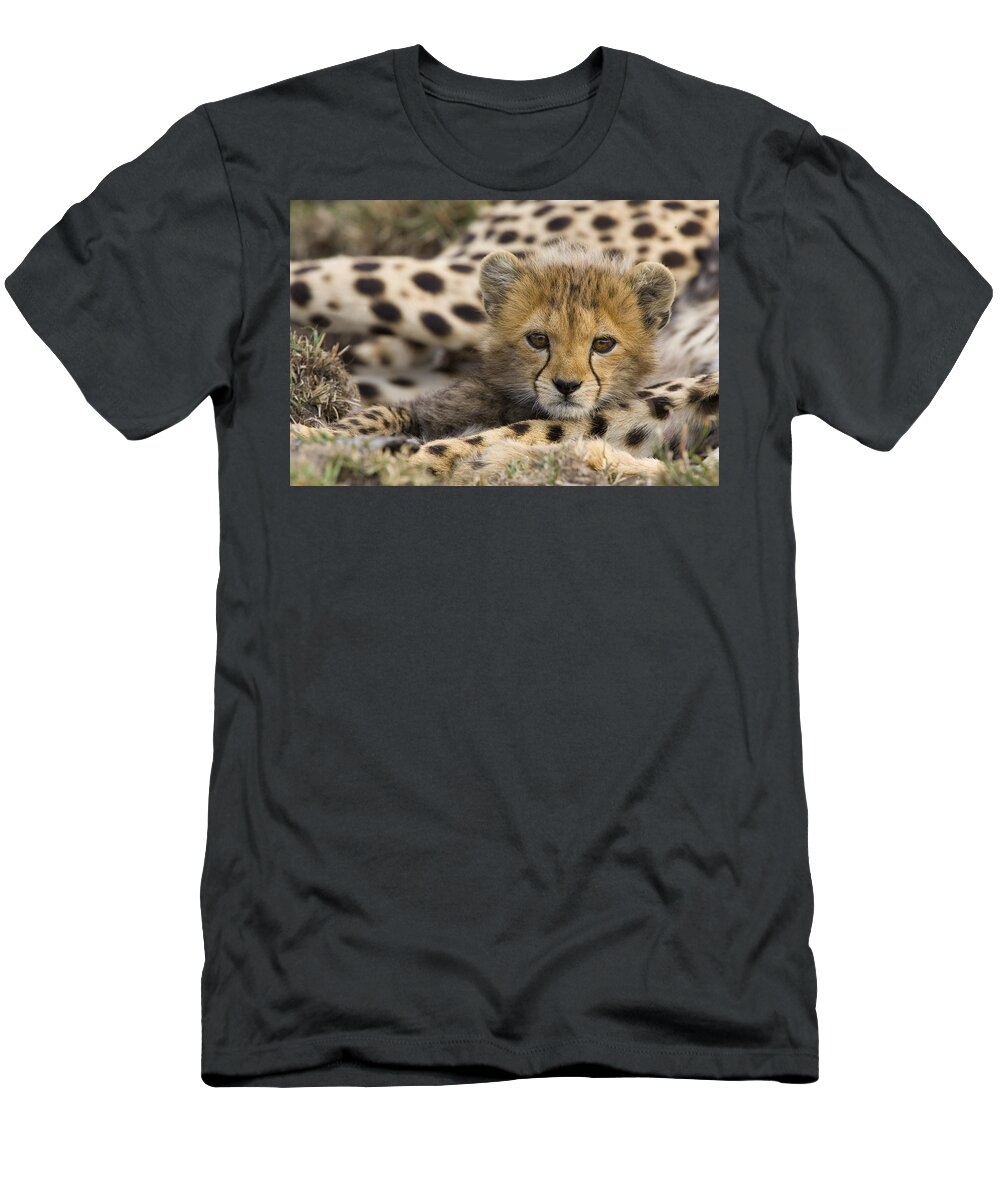 00761521 T-Shirt featuring the photograph Cheetah Cub Portrait by Suzi Eszterhas