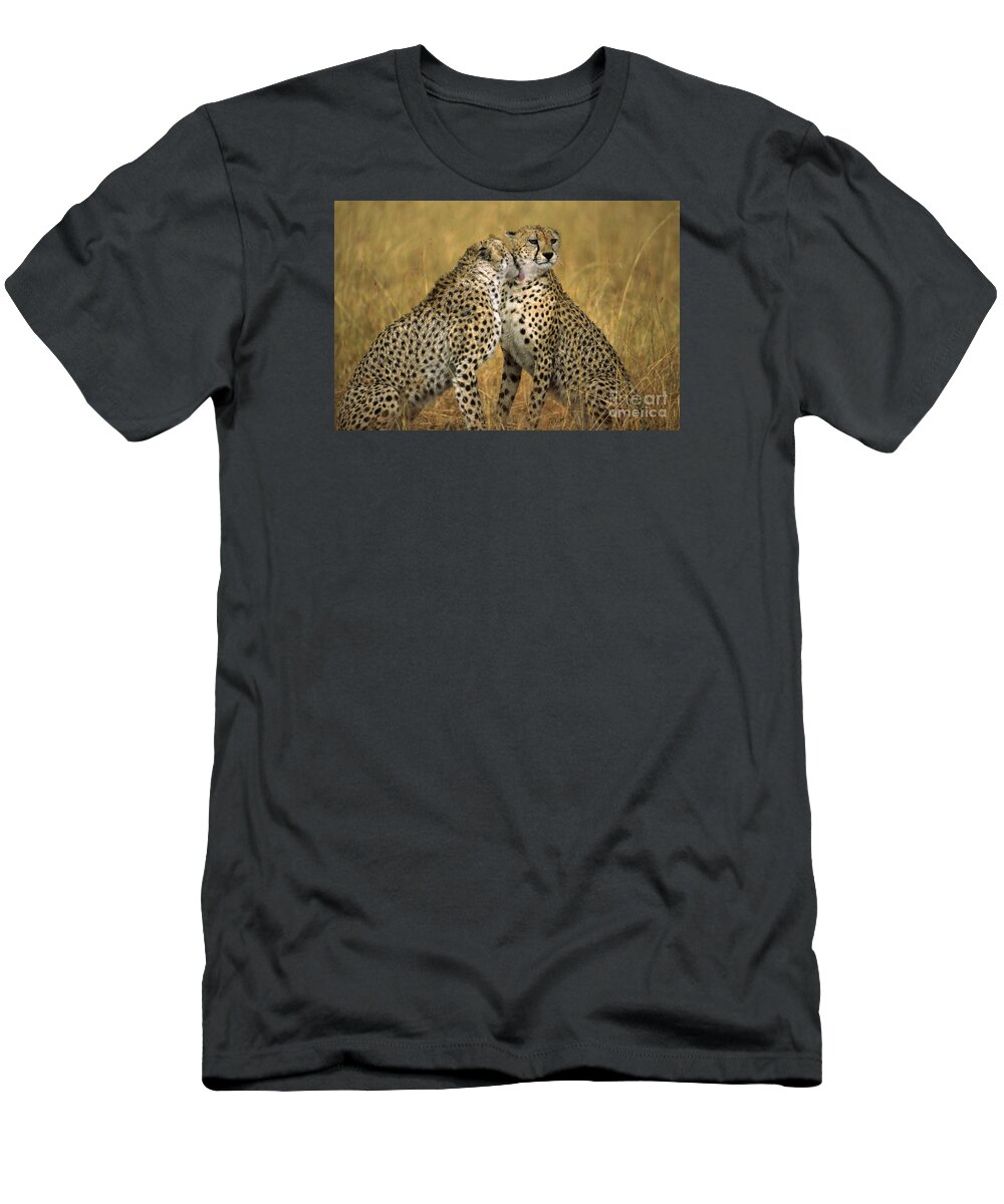 00206685 T-Shirt featuring the photograph Cheetah Pair Grooming by GerryEllis