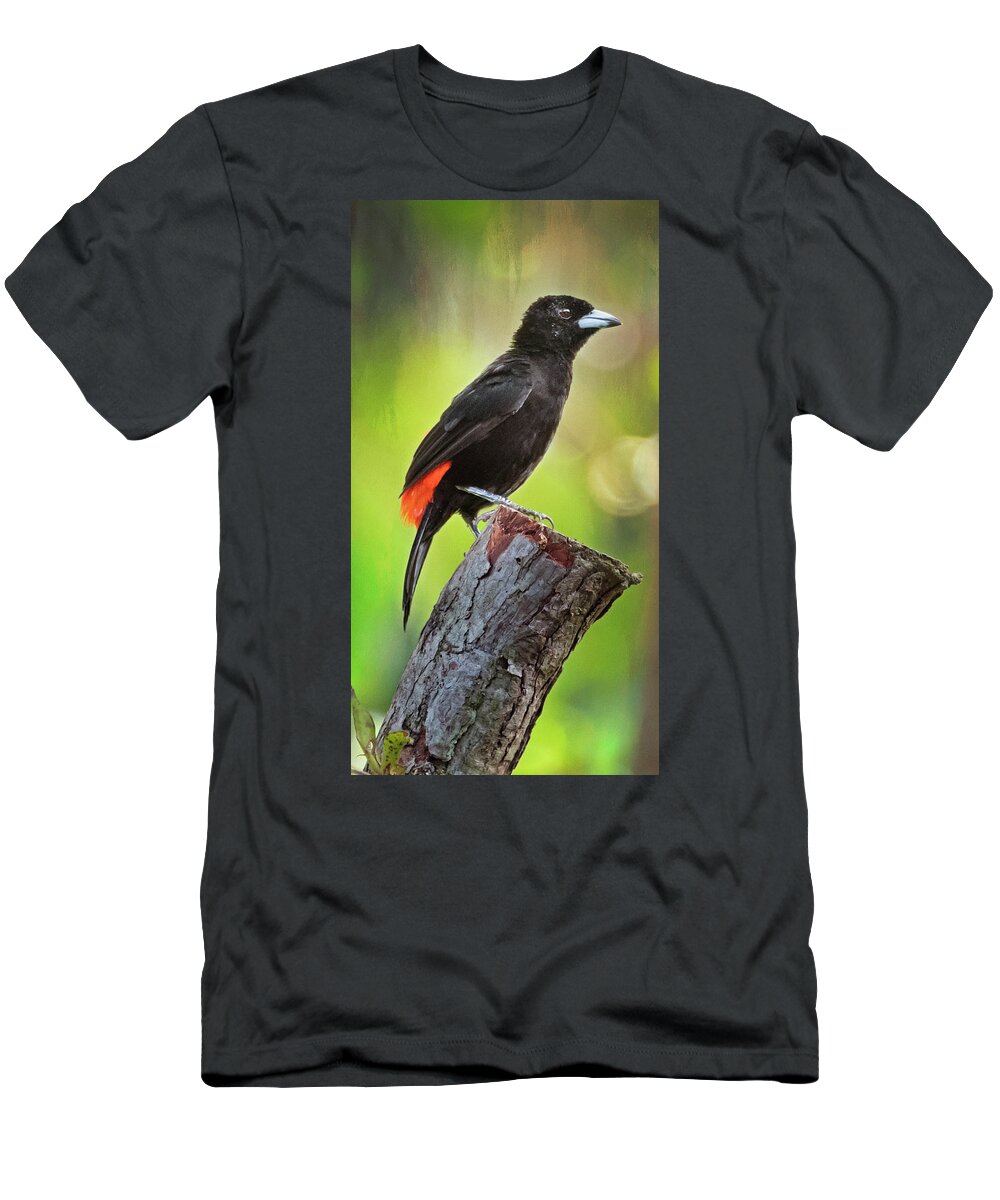 Joan Carroll T-Shirt featuring the photograph Cherries Tanager Costa Rica by Joan Carroll