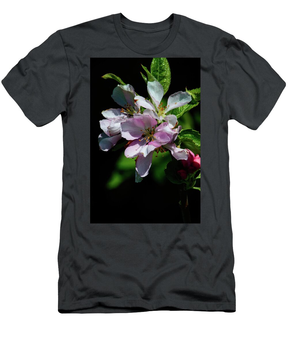 Flower T-Shirt featuring the photograph Cherry Blossom by Tikvah's Hope