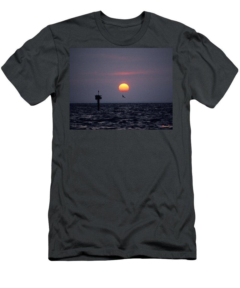 Sea T-Shirt featuring the photograph Chesapeake Bay Osprey 14O by Gerry Gantt
