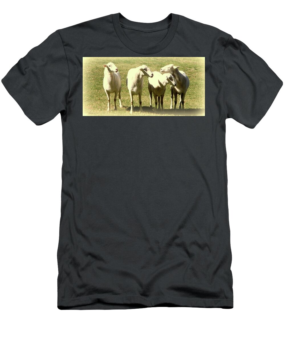 Animals T-Shirt featuring the photograph Cheviot Sheep by Kathy Barney