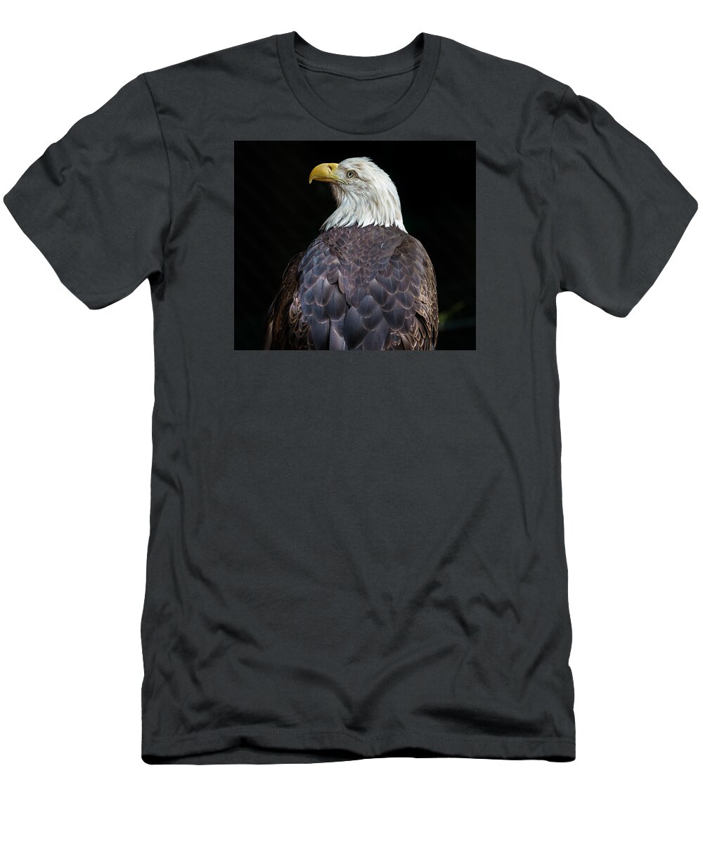 Bald Eagle T-Shirt featuring the photograph Cheyenne the Eagle by Greg Nyquist