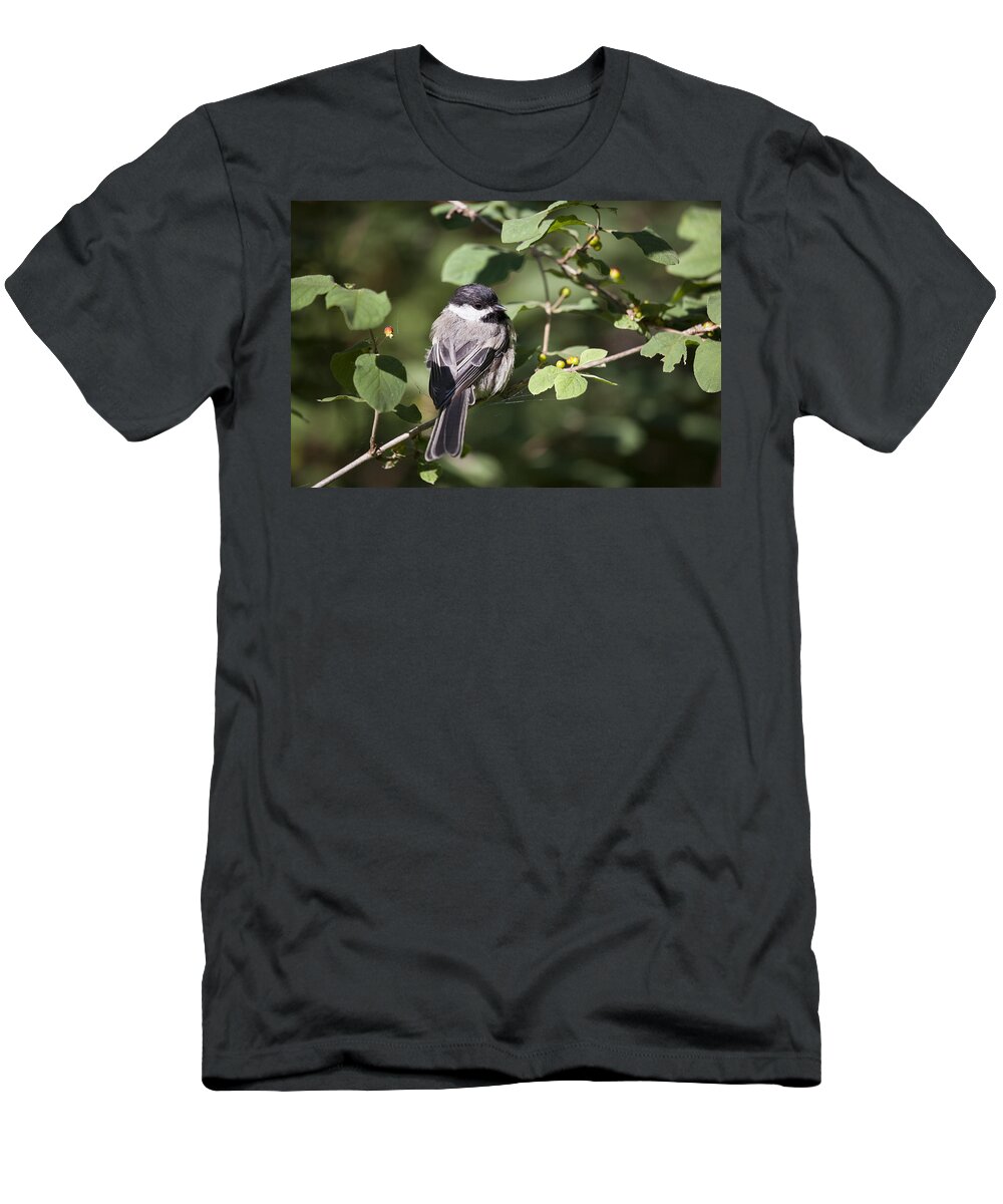 Chickadee T-Shirt featuring the photograph Chickadee by Eunice Gibb