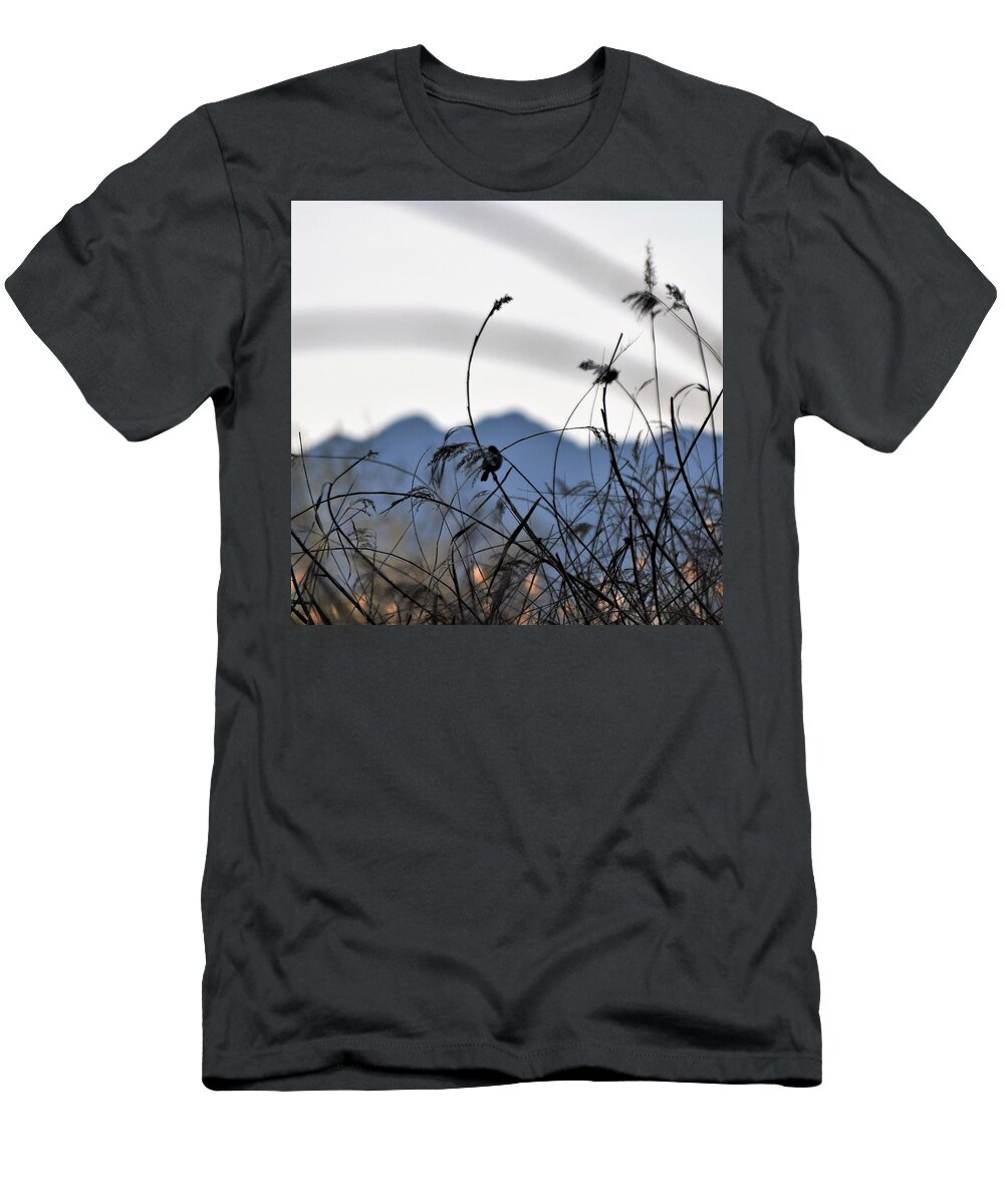 Bird Watching T-Shirt featuring the photograph Chickadee Meadow by John Glass