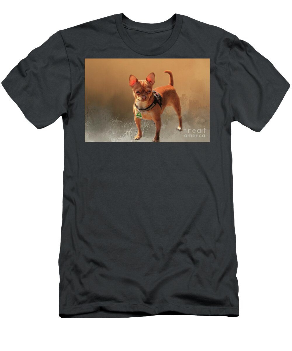 Chihuahua T-Shirt featuring the photograph Chihuahua by Eva Lechner