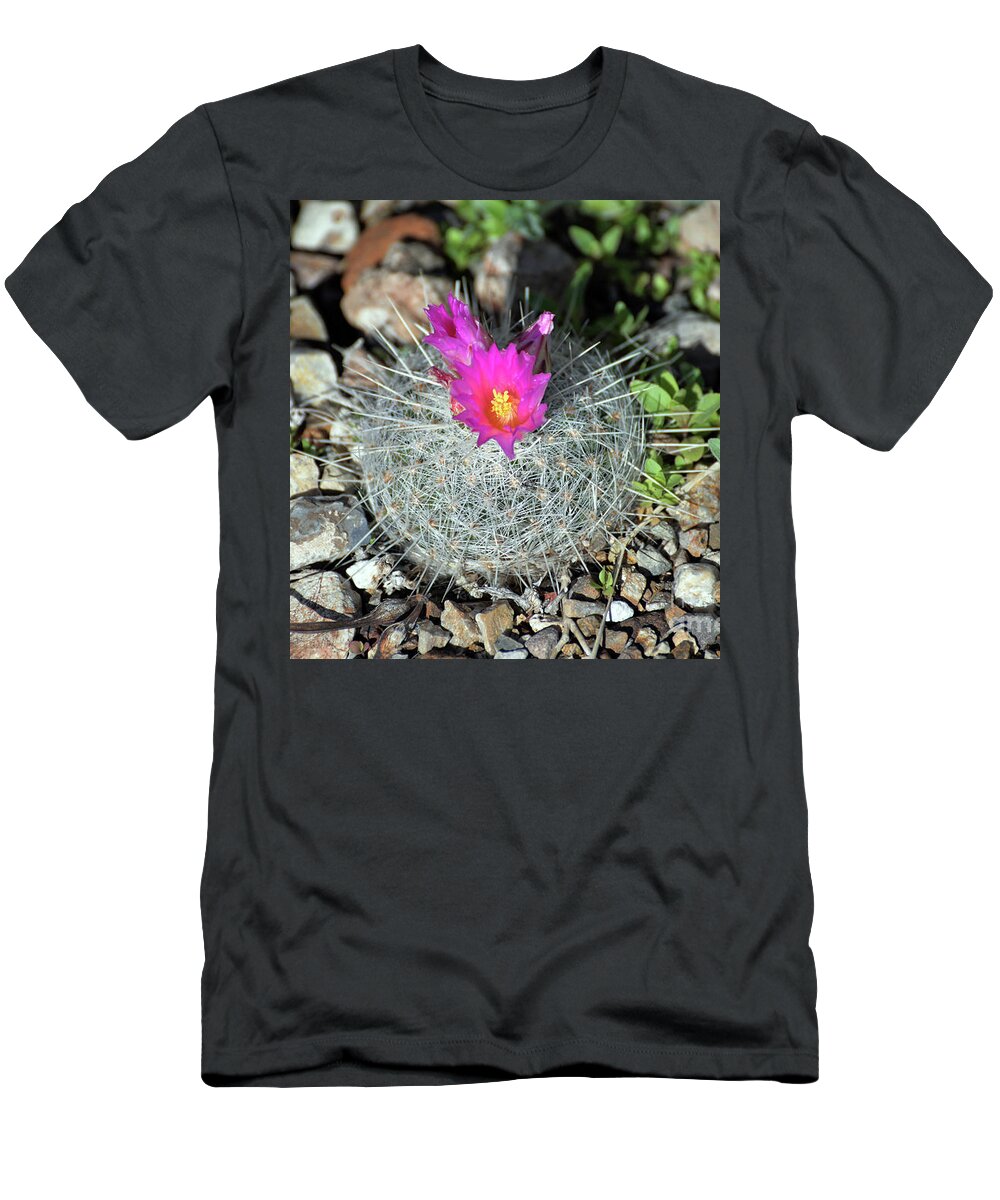 Denise Bruchman T-Shirt featuring the photograph Chihuahua Snowball 3 by Denise Bruchman