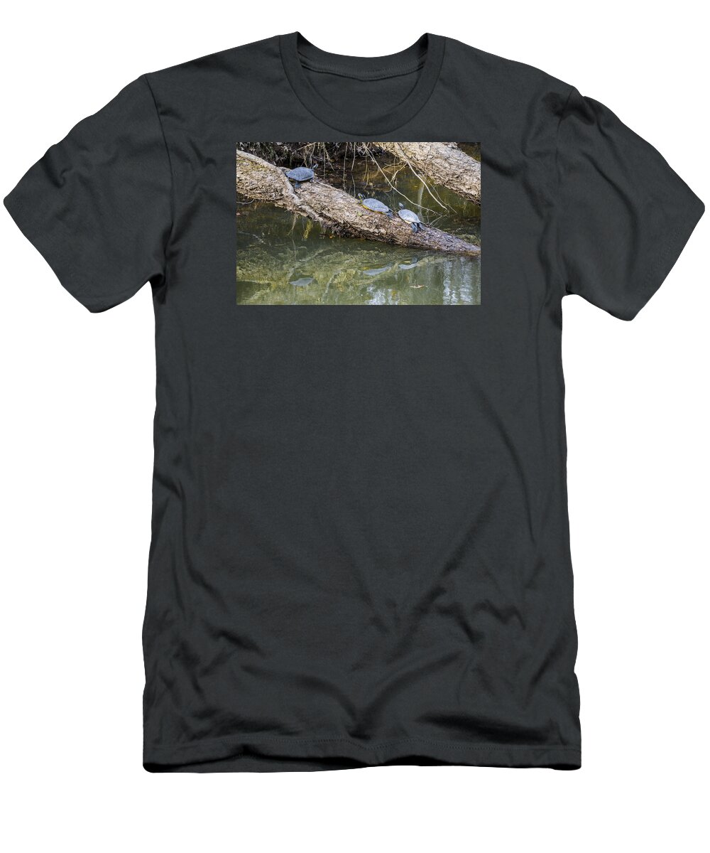 Turtles T-Shirt featuring the photograph Chilling Turtles by William Hall