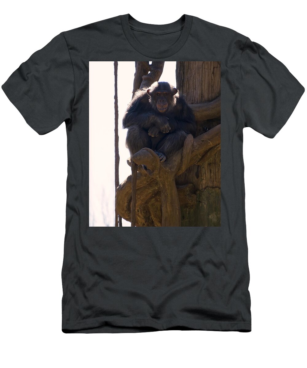 Chimpanzee T-Shirt featuring the photograph Chimpanzee in a tree by Flees Photos
