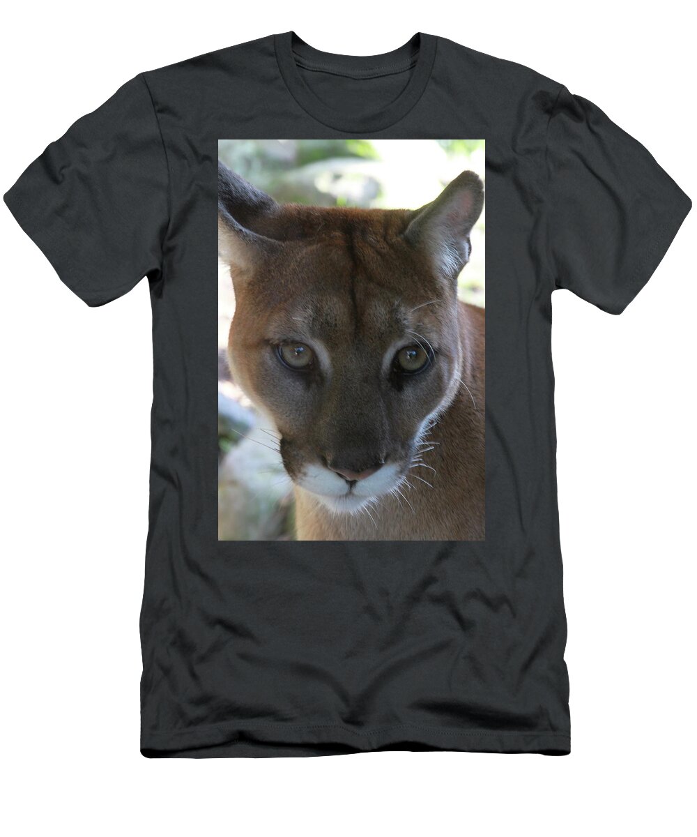 Palus T-Shirt featuring the photograph Chinook by Laddie Halupa