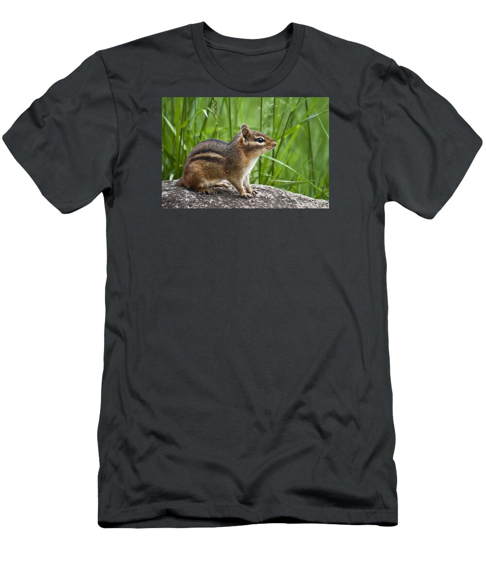 Chipmunk T-Shirt featuring the photograph Chipmunk by Ken Barrett