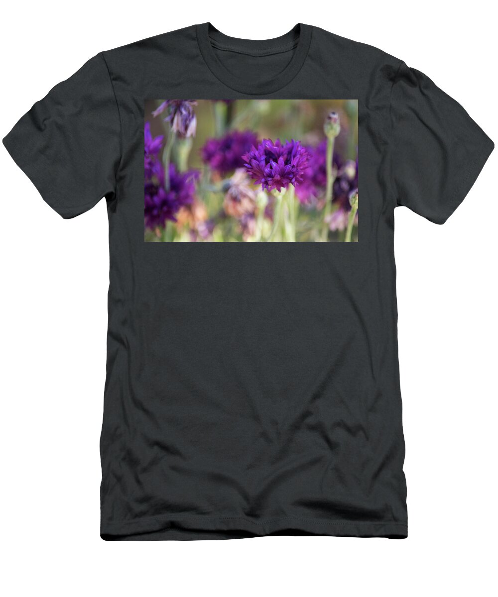 Purple Flowers T-Shirt featuring the photograph Chive Blossoms by Bonnie Bruno