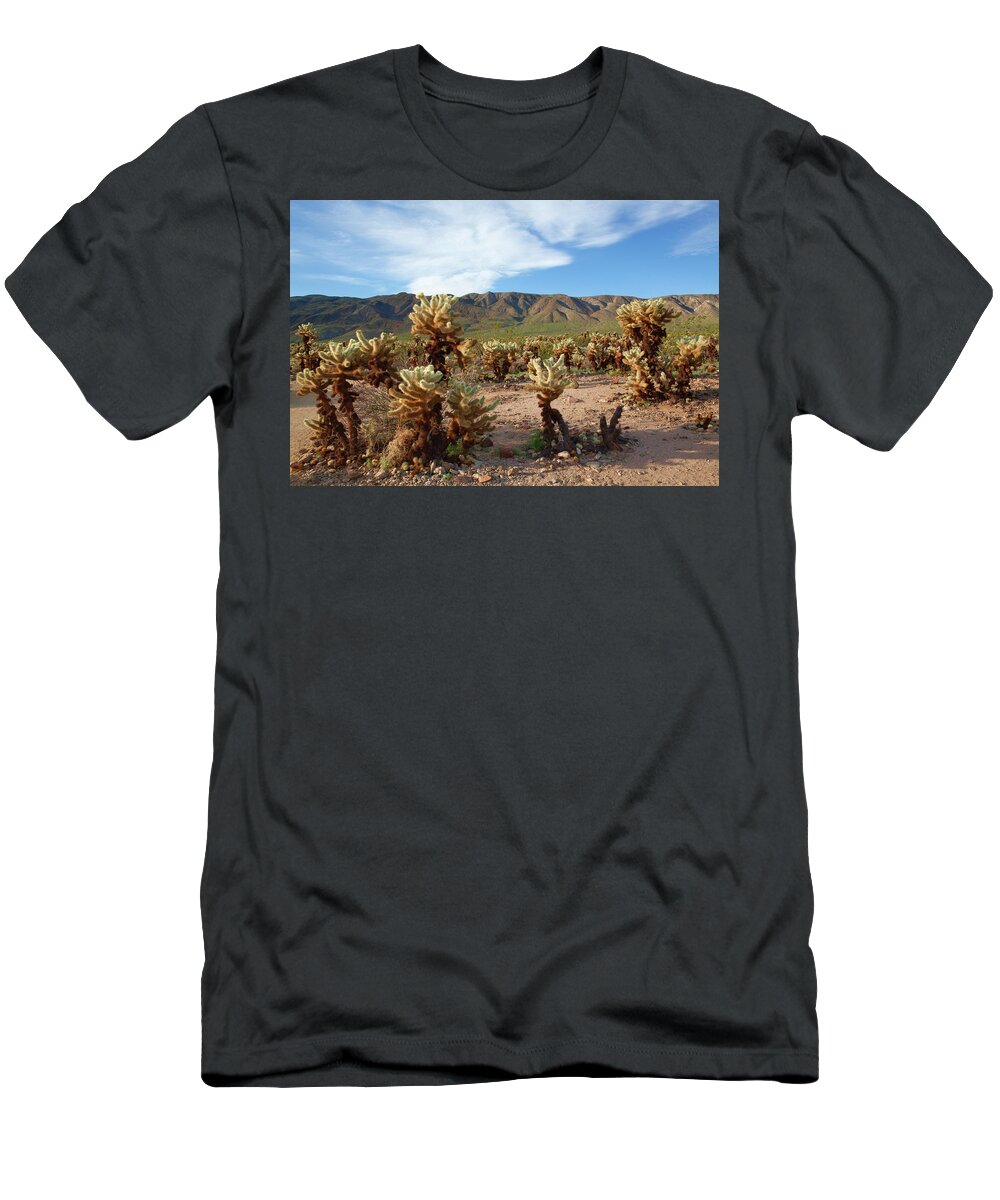 Joshua Tree National Park T-Shirt featuring the photograph Cholla Cactus Garden - Joshua Tree National Park by Ram Vasudev