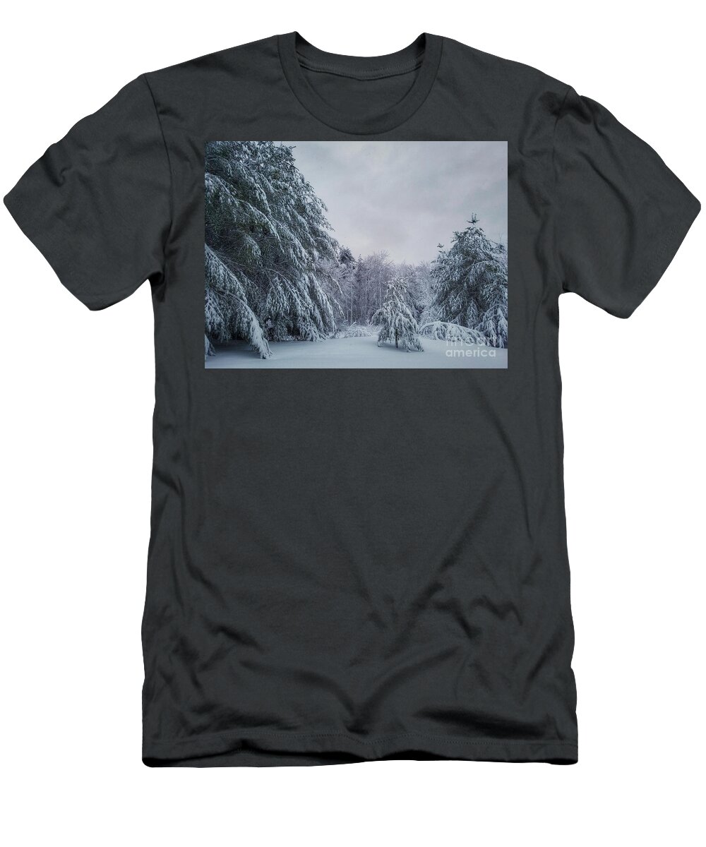 Landscape T-Shirt featuring the photograph Classic Winter Scene in New England by Mary Capriole