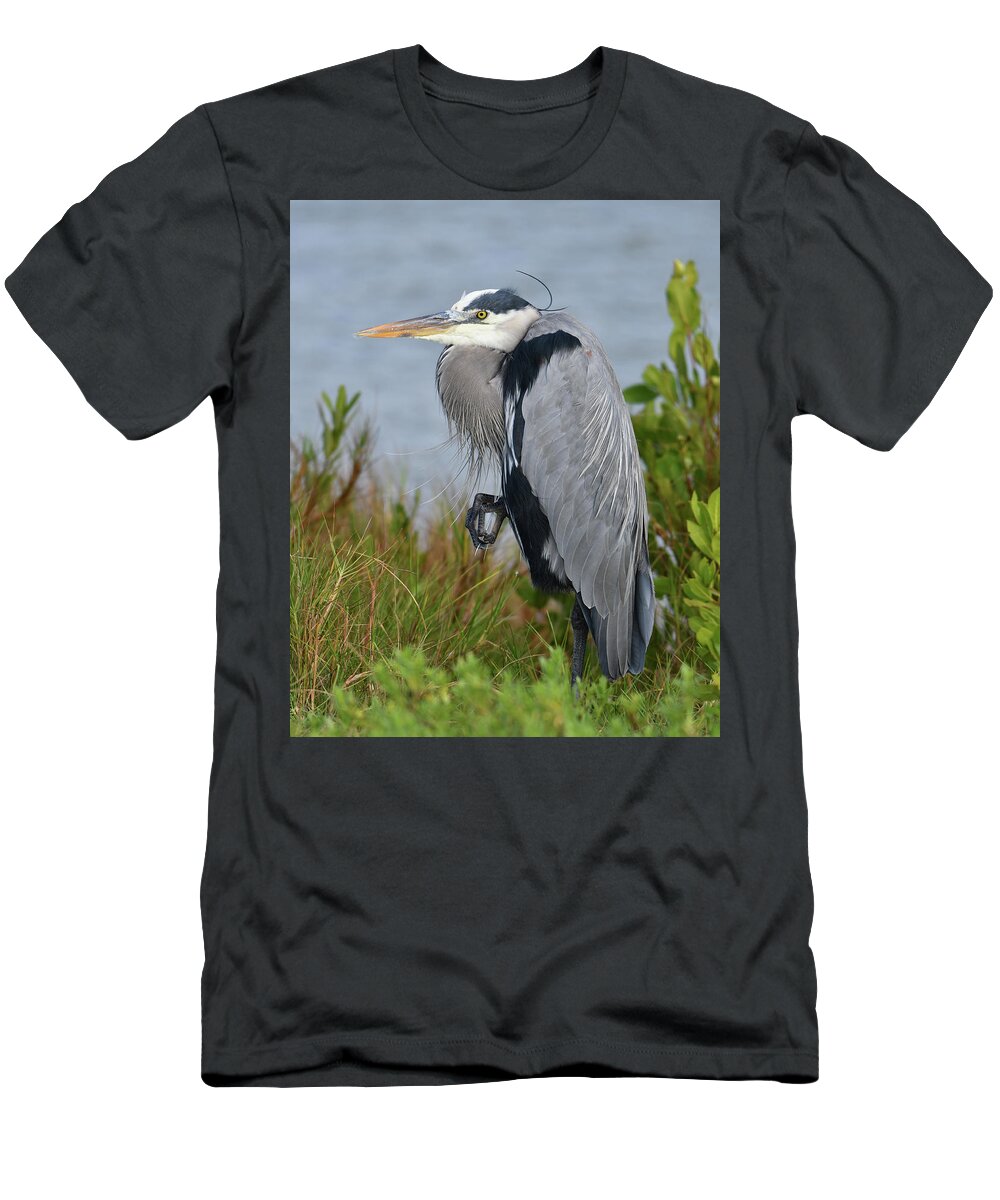Blue Heron T-Shirt featuring the photograph Classy Blue Heron by Artful Imagery