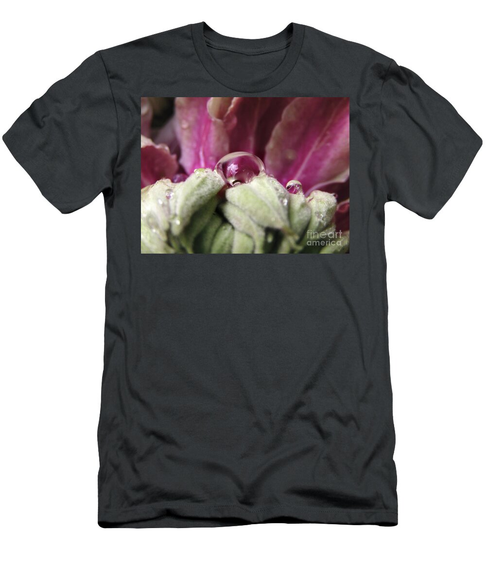 Clematis T-Shirt featuring the photograph Clematis Drops 3 by Kim Tran