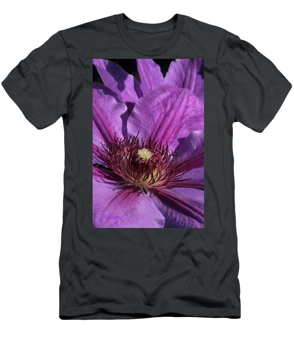 Clematis T-Shirt featuring the photograph Clematis Purple Punch V1 by Janet DeLapp