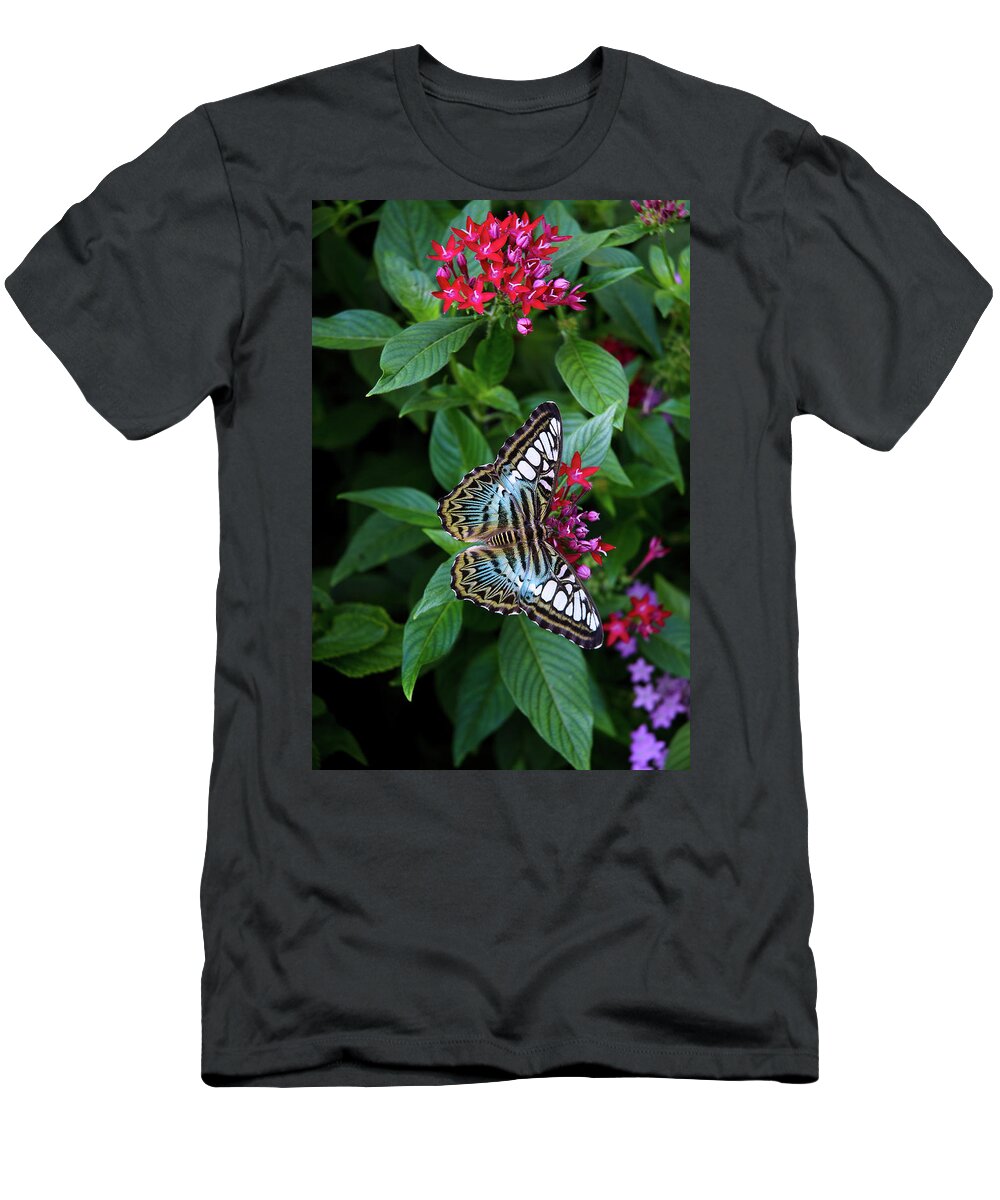 Butterfly T-Shirt featuring the photograph Clipper Butterfly on Star Flower by Marie Hicks