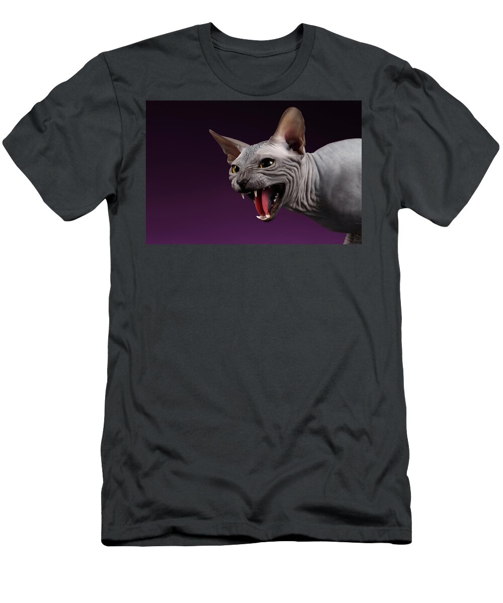 Sphynx T-Shirt featuring the photograph Close-up Aggressive Sphynx Cat Hisses on purple by Sergey Taran