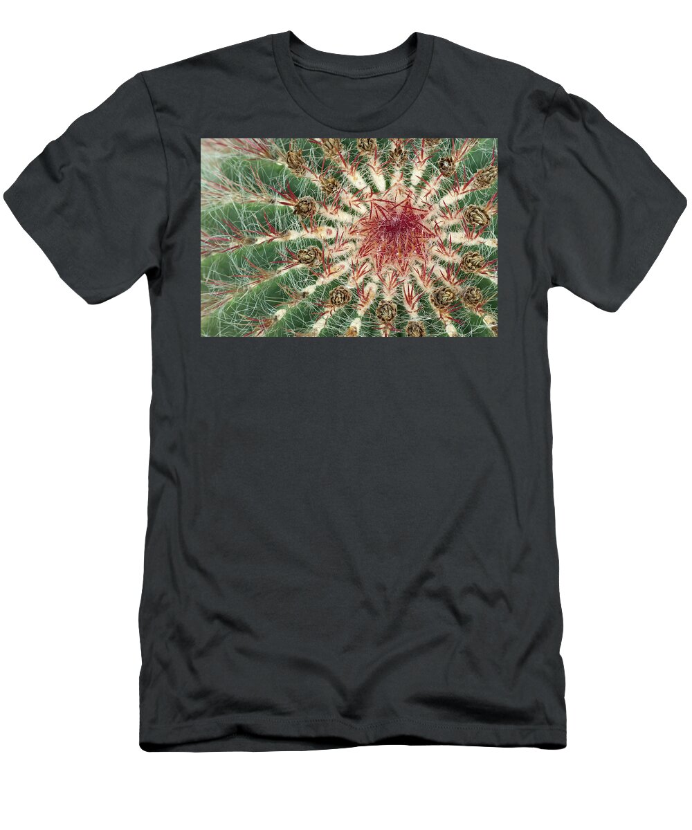 Cacti T-Shirt featuring the photograph Close-up of cactus with purple spines by GoodMood Art
