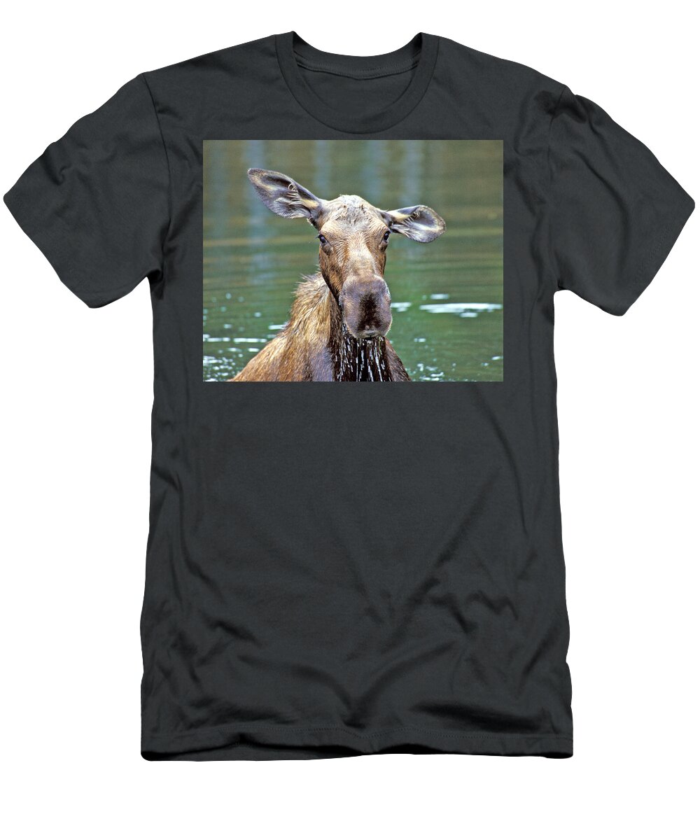 Moose T-Shirt featuring the photograph Close Wet Moose by Gary Beeler