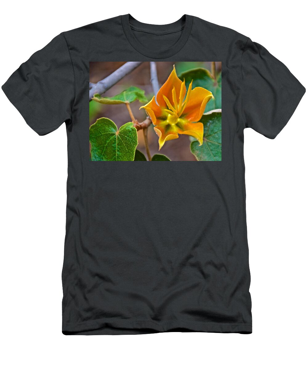 Close-up Of Xchiranthofremontia Lenzi In Rancho Santa Ana Botanic Gardens In Claremont T-Shirt featuring the photograph Closeup of XChiranthofremontia lenzii in Rancho Santa Ana Botanic Garden in Claremont-California by Ruth Hager