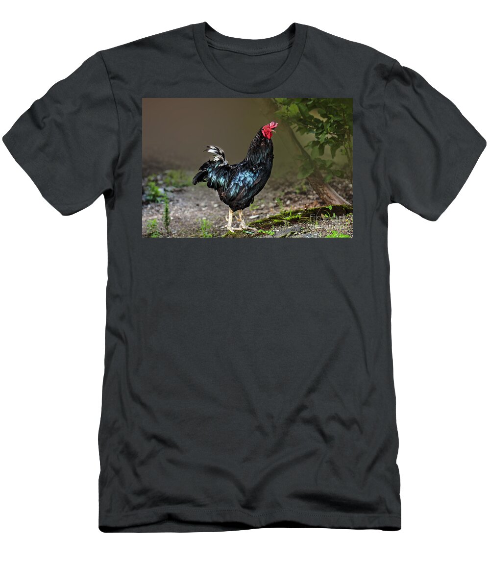 Rooster T-Shirt featuring the photograph Cock-a-doodle-doo by Charuhas Images