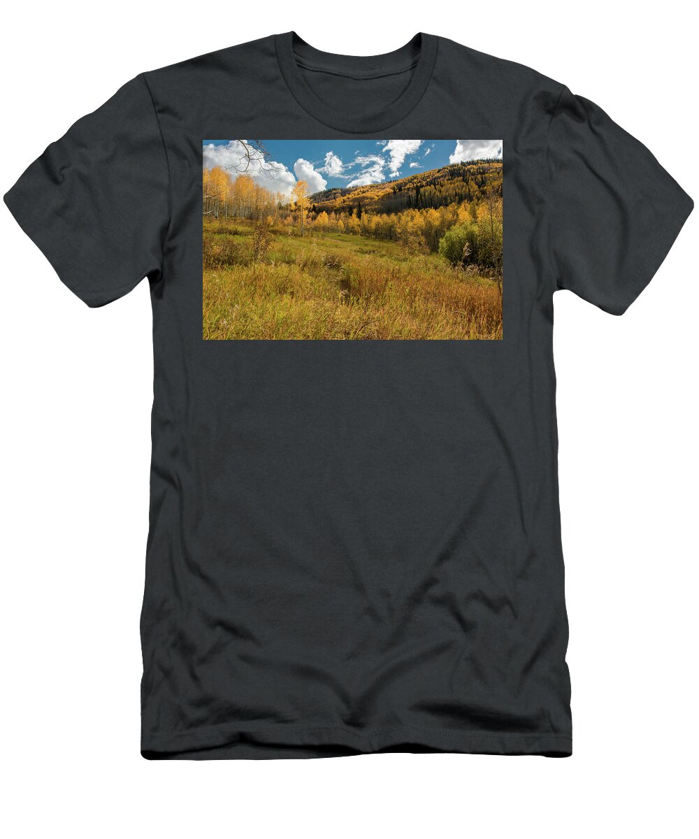  Landscapes T-Shirt featuring the photograph Colorado Autumn Colors by John Bartelt