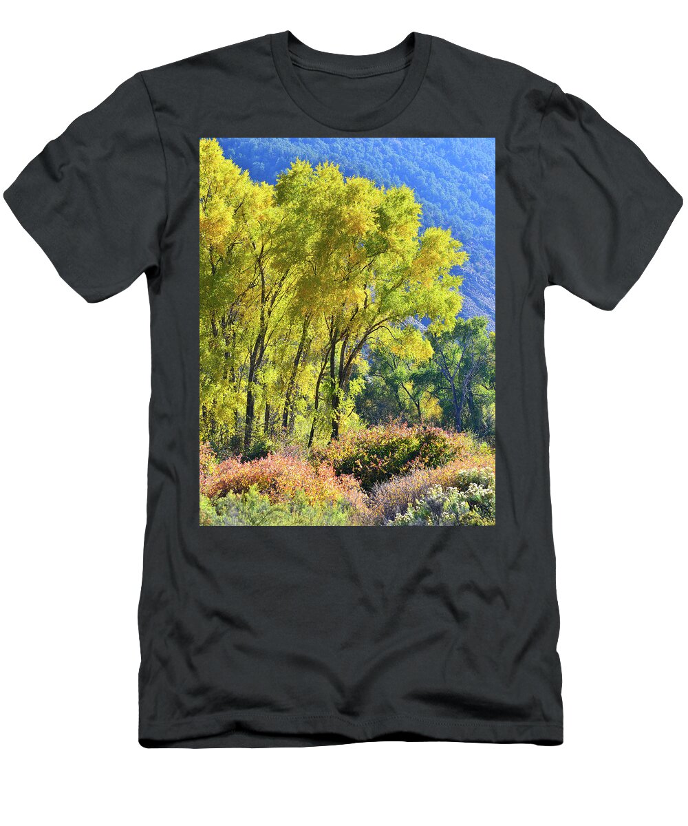 Colorado T-Shirt featuring the photograph Colorado River Fall Colors by Ray Mathis
