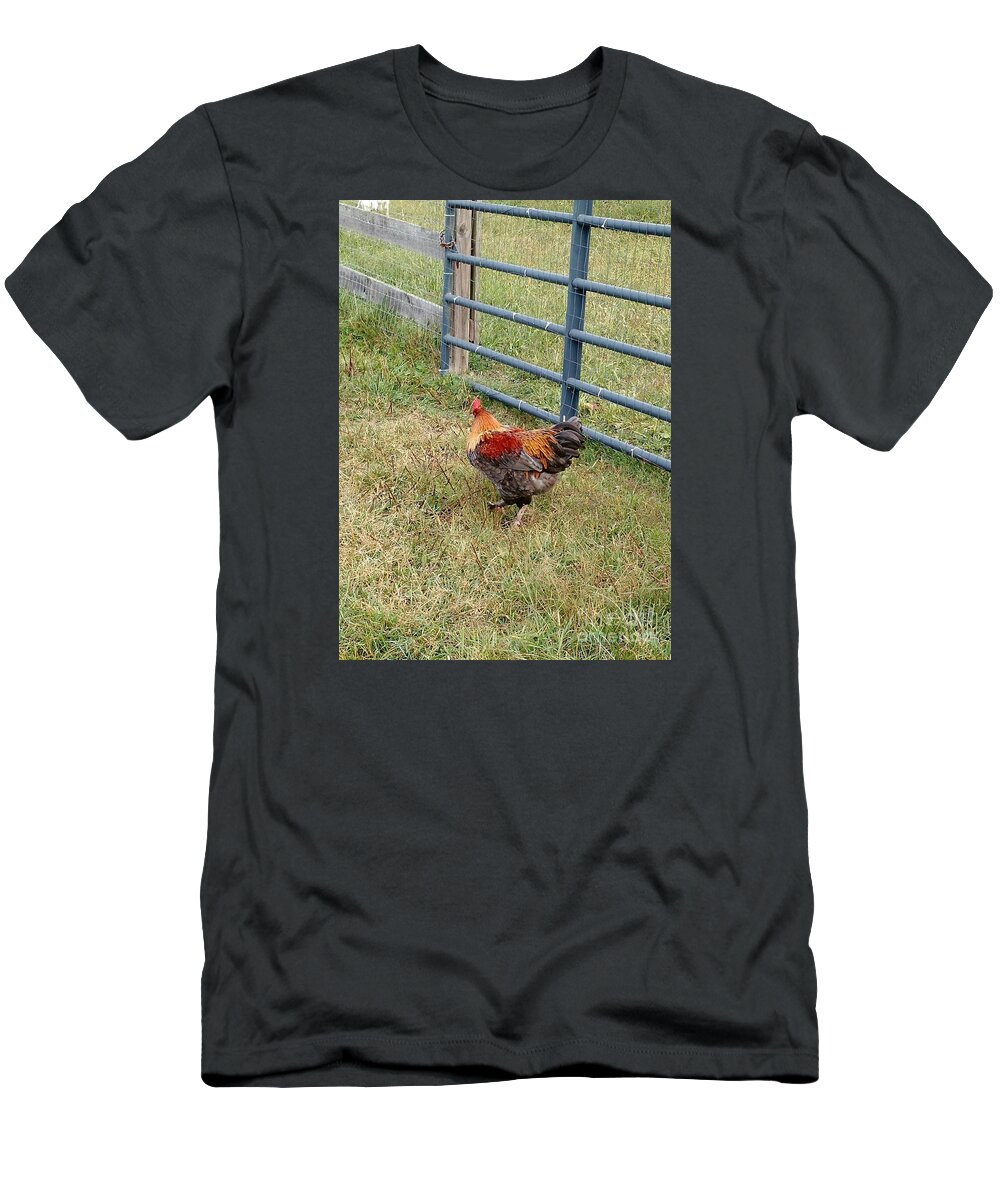 Chicken T-Shirt featuring the photograph Colorful Chicken by Anita Adams