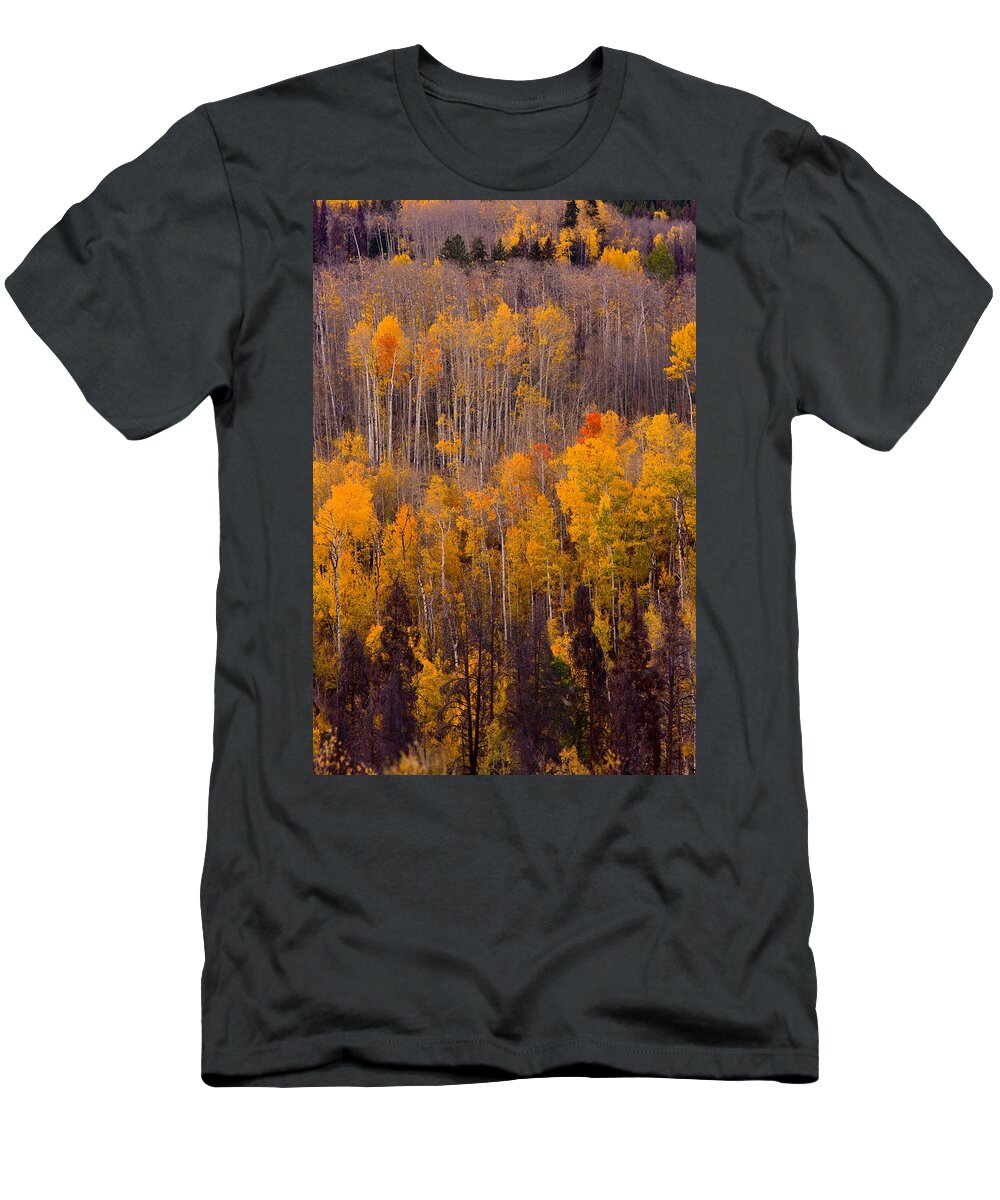 Vertical T-Shirt featuring the photograph Colorful Colorado Autumn Landscape Vertical Image by James BO Insogna