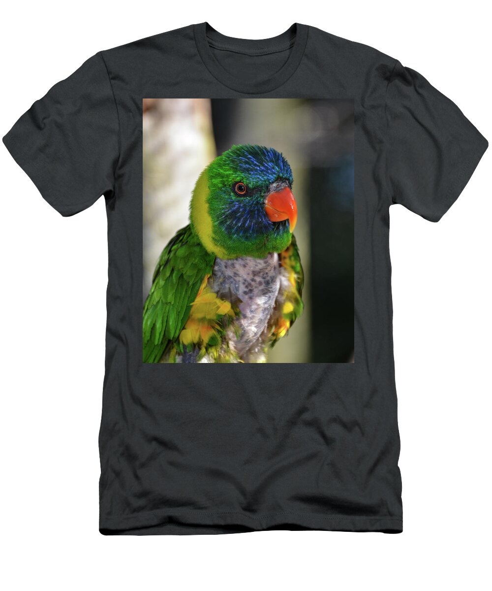Lorikeet T-Shirt featuring the photograph Colorful Lorikeet by Artful Imagery