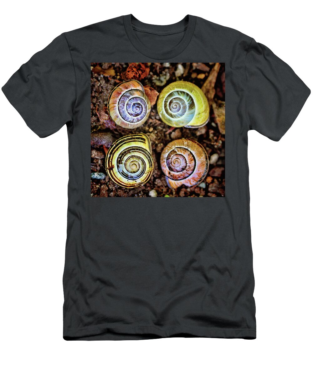 Snails T-Shirt featuring the photograph Colorful Snail Shells Still Life by Peggy Collins