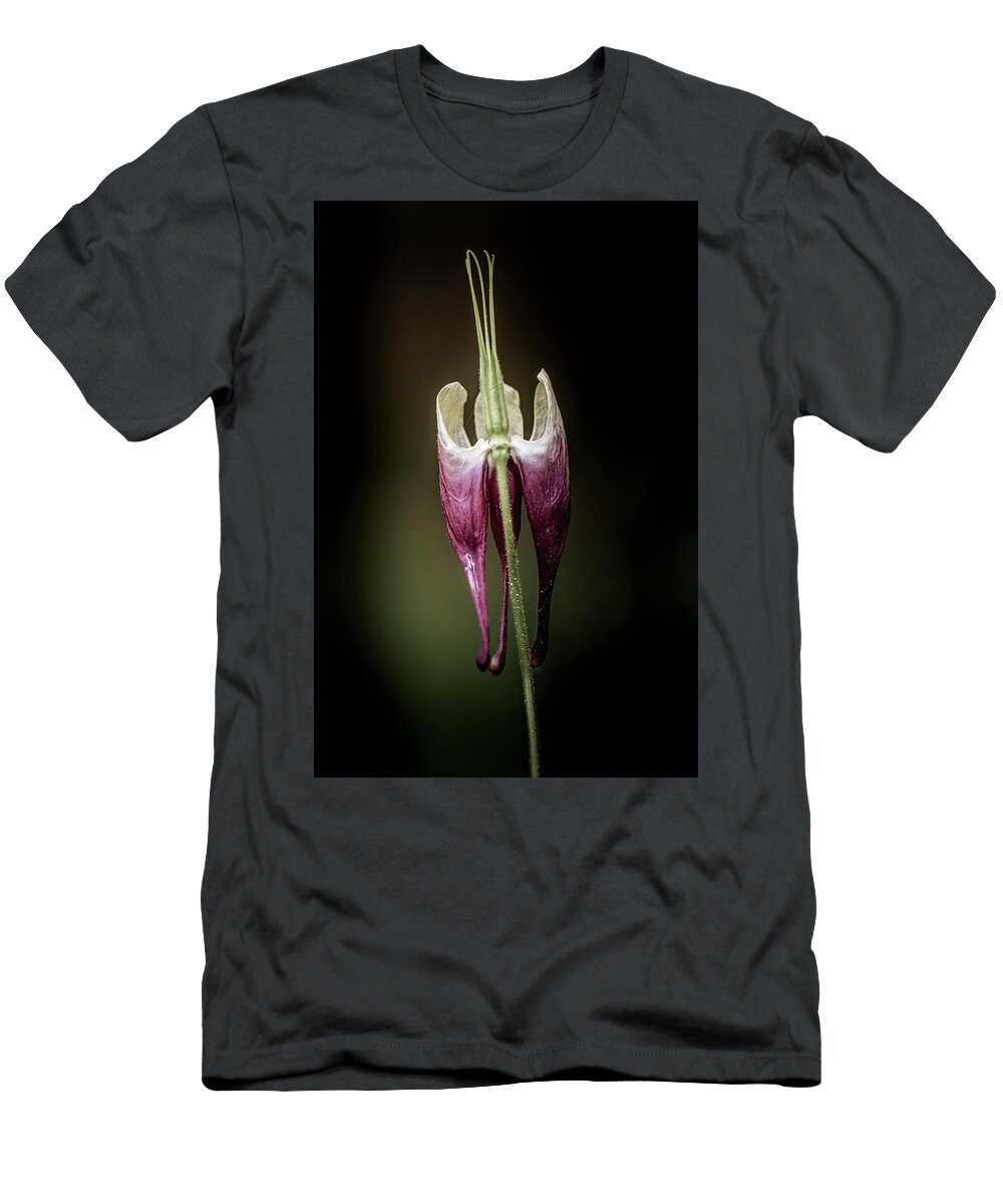 Flower T-Shirt featuring the photograph Columbine by Allin Sorenson