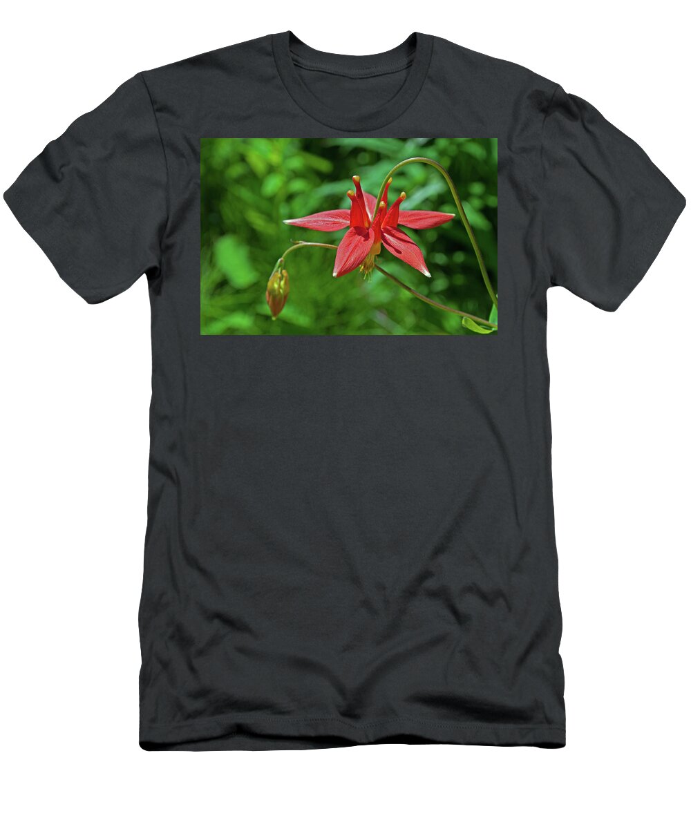 Columbine T-Shirt featuring the photograph Columbines 2 by Cathy Mahnke