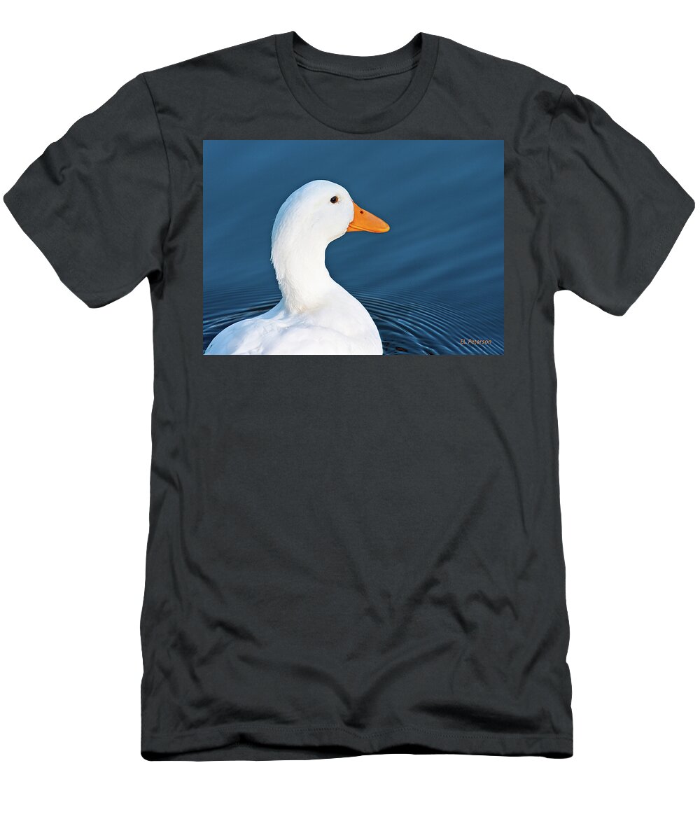 White Duck T-Shirt featuring the photograph Come Swim With Me by Ed Peterson