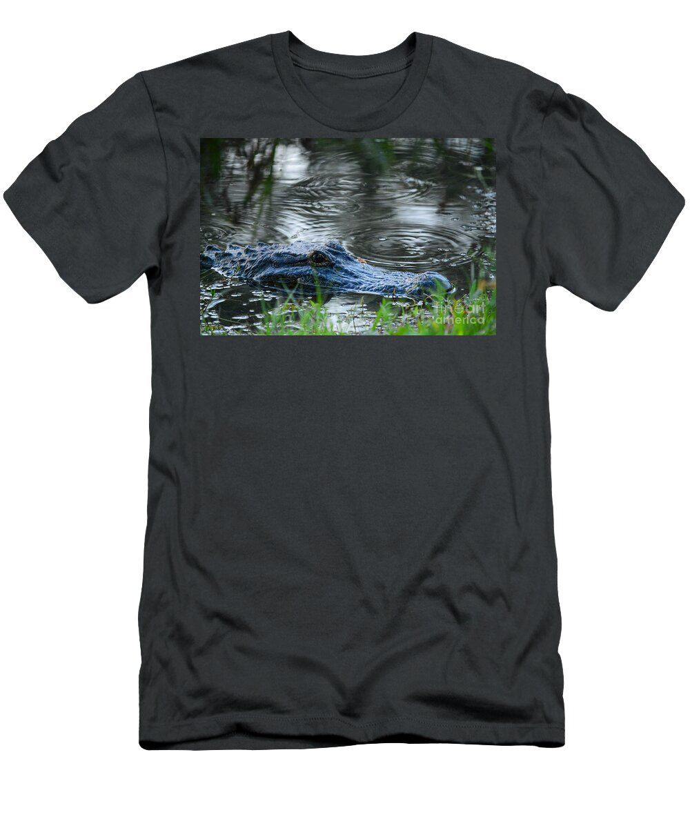 Gator T-Shirt featuring the photograph Come Swimming by Barry Bohn