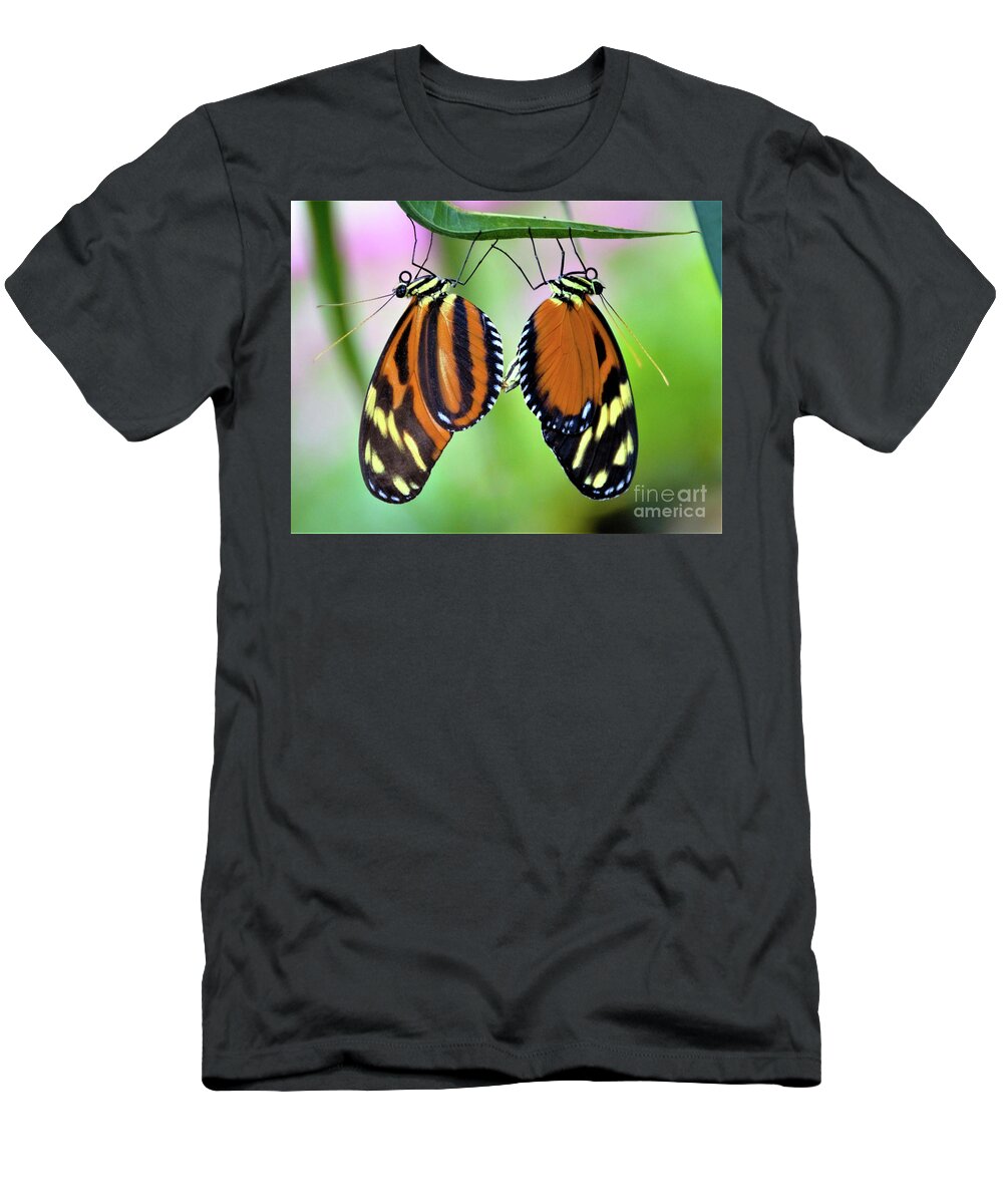 Mimic Tigerwing Butterfly T-Shirt featuring the photograph Come Together by Kathy Kelly
