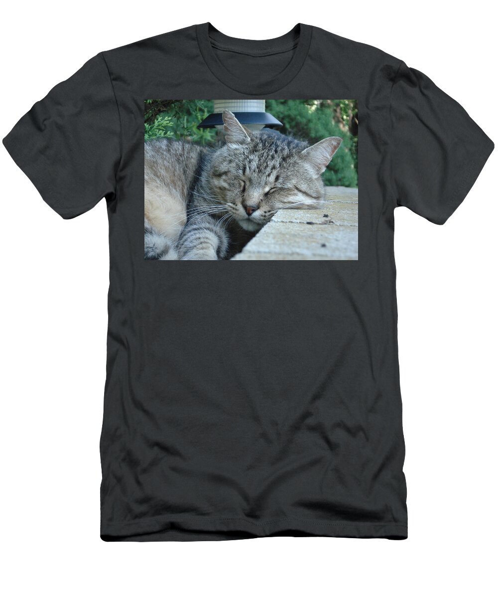 Cat T-Shirt featuring the photograph Comfortable by DB Artist
