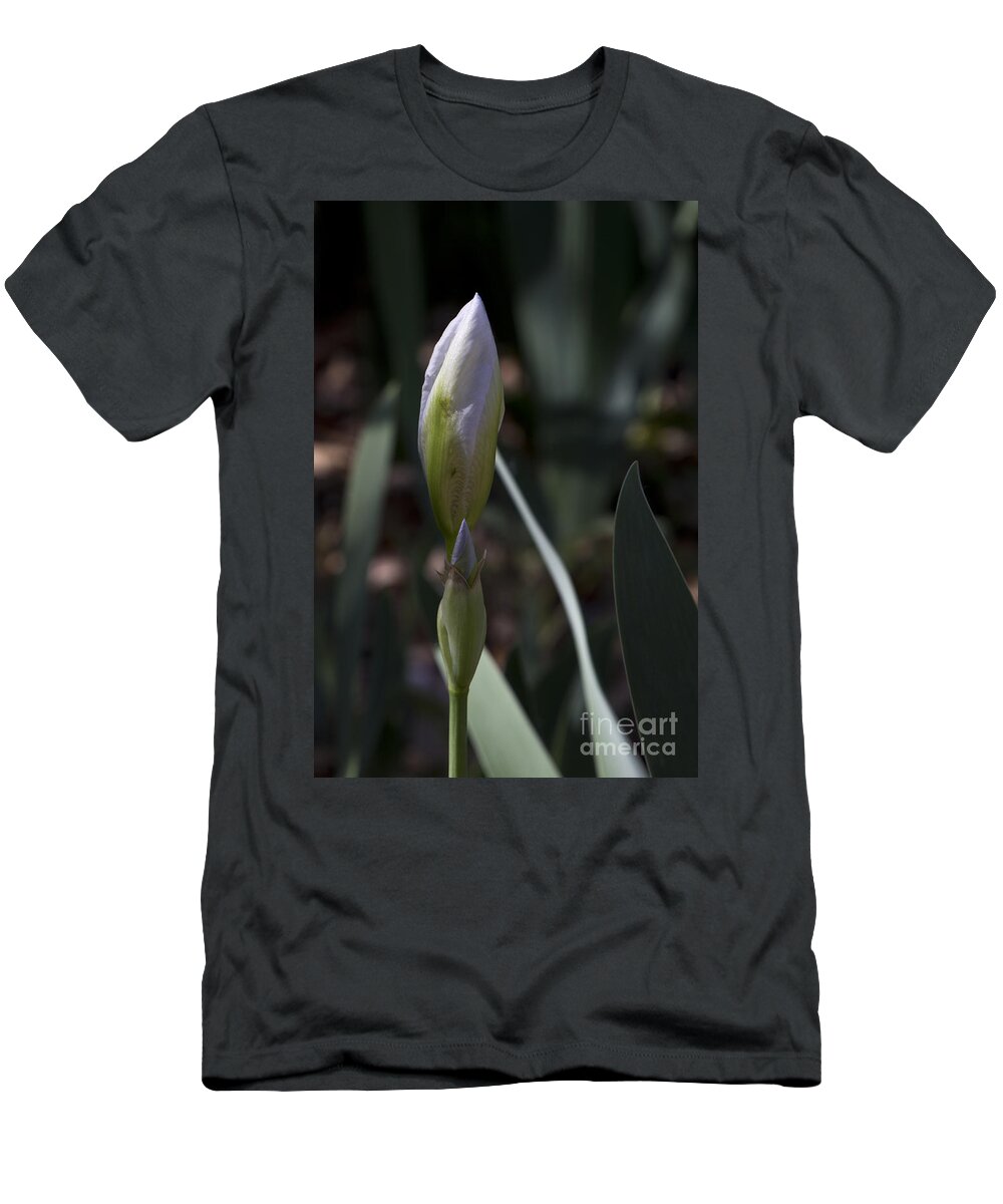 Arizona T-Shirt featuring the photograph Coming by Kathy McClure