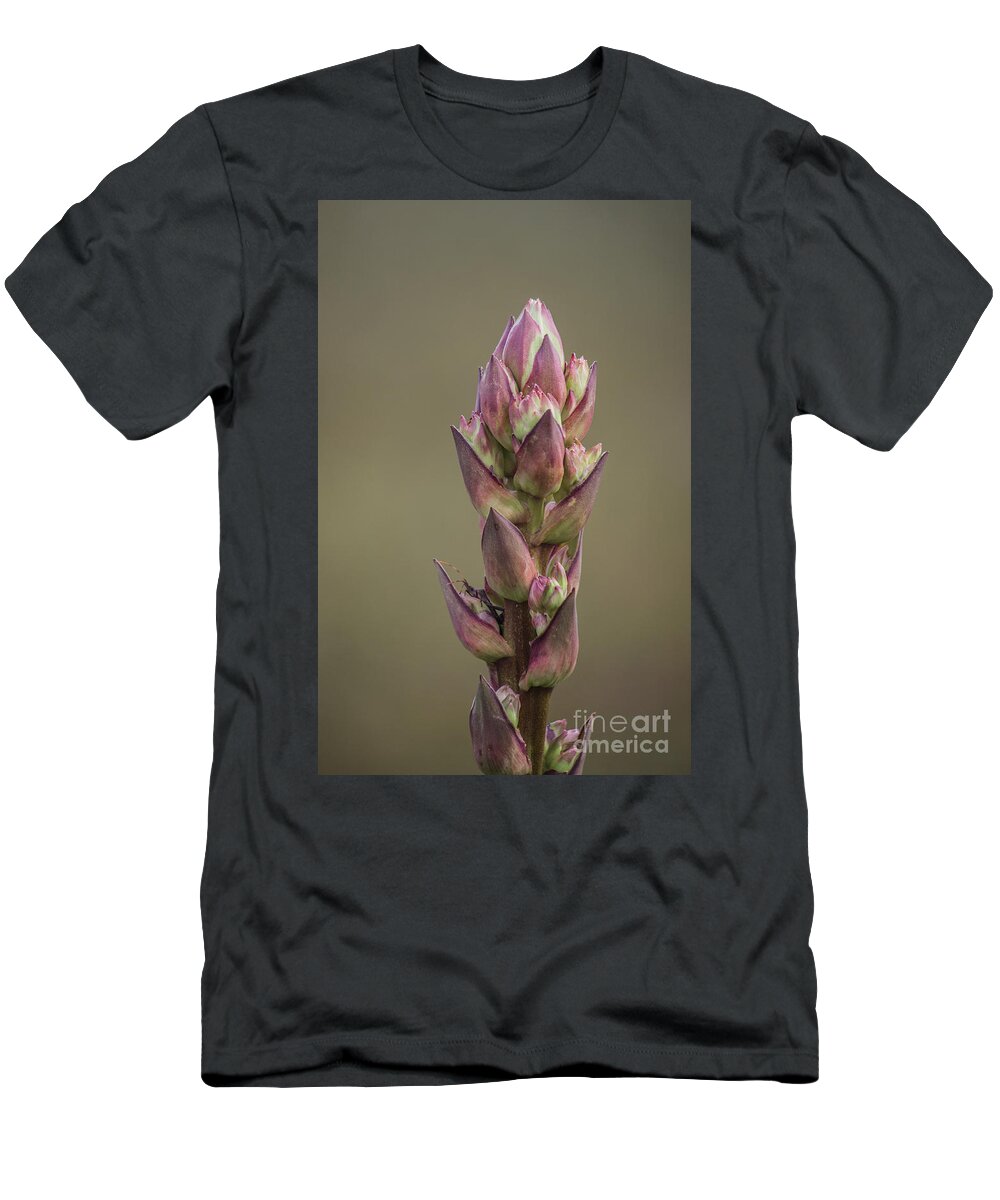 Plant T-Shirt featuring the photograph Coming Out Insect by Roberta Byram