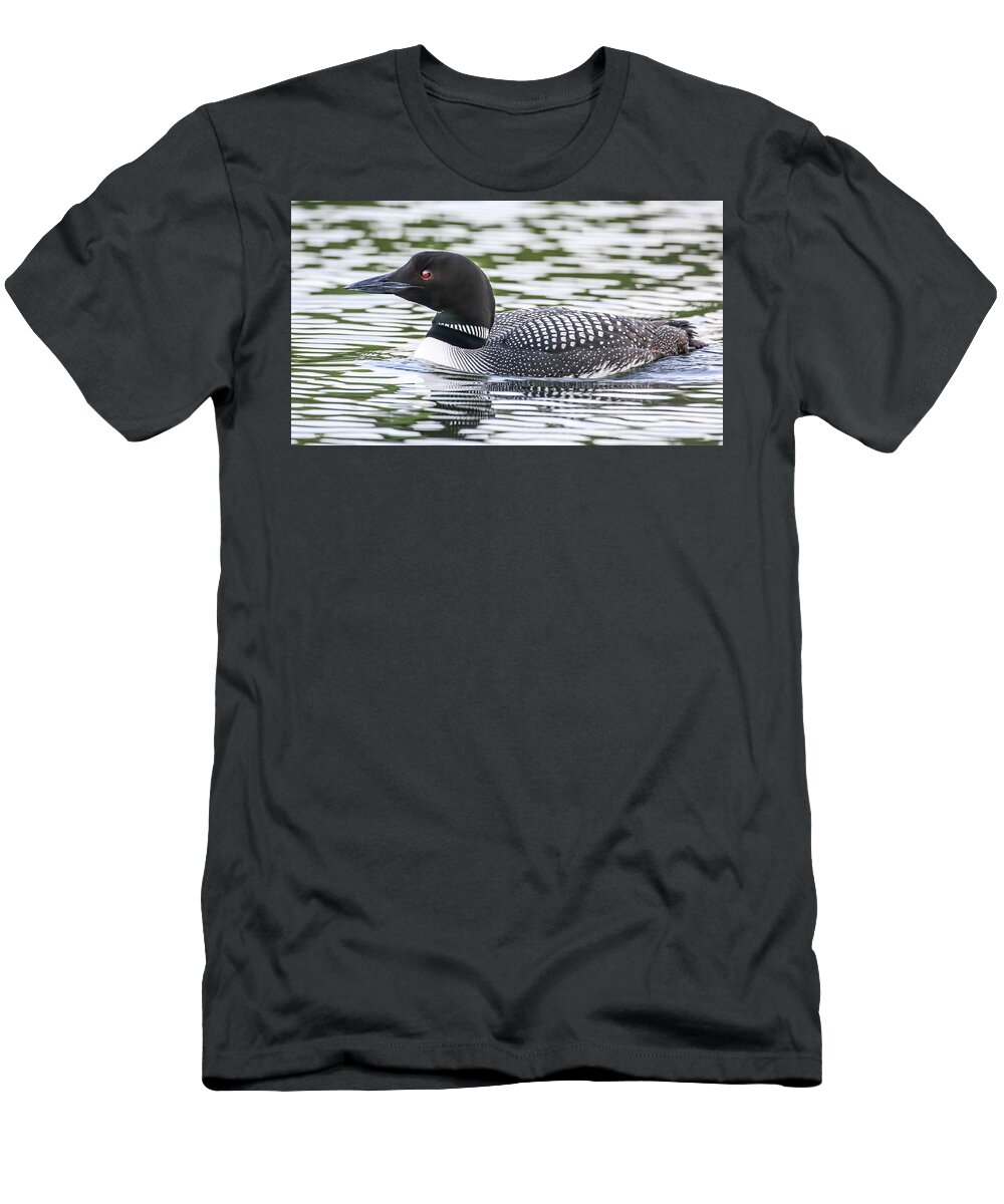 Sam Amato Photography T-Shirt featuring the photograph Common Loon by Sam Amato