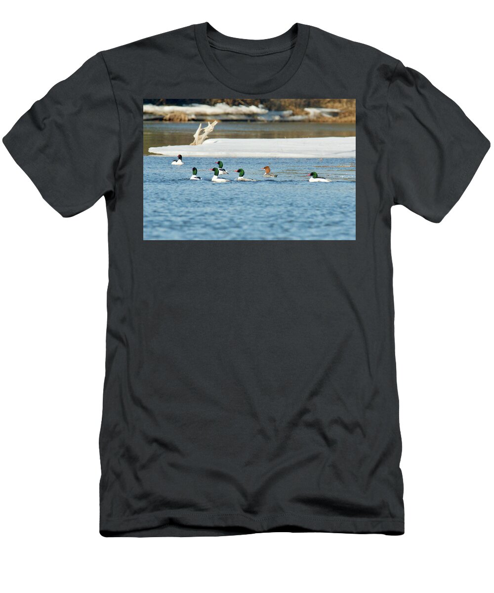 Bird T-Shirt featuring the photograph Common Merganser 9102 by Michael Peychich
