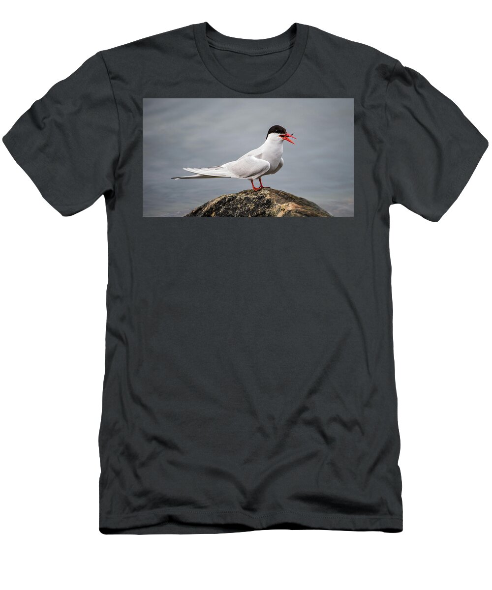 Common Tern T-Shirt featuring the photograph Common Tern by Torbjorn Swenelius