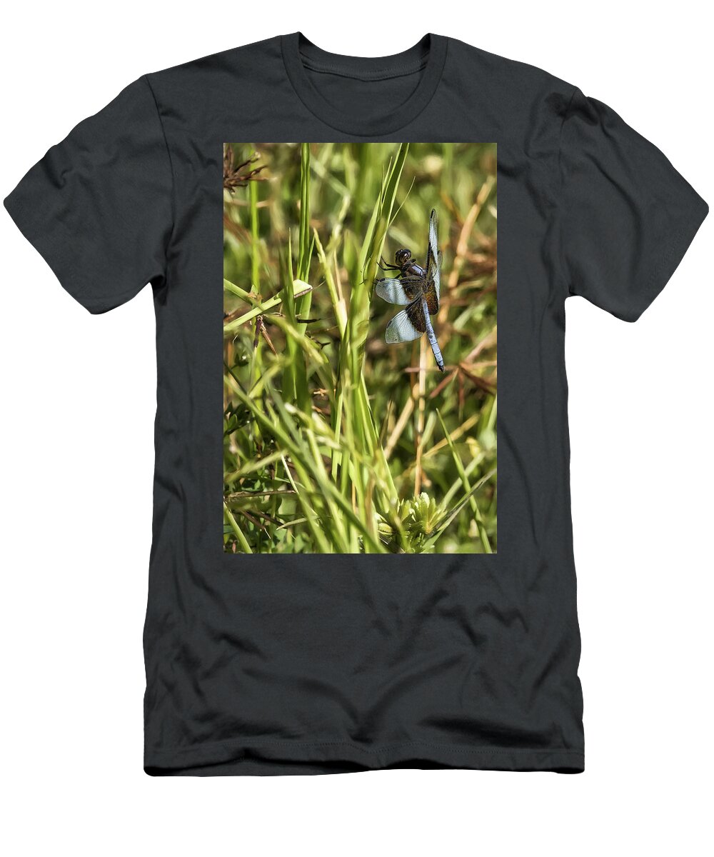 Dragonfly T-Shirt featuring the photograph Common Whitetail Dragonfly on a Blade of Grass by Belinda Greb