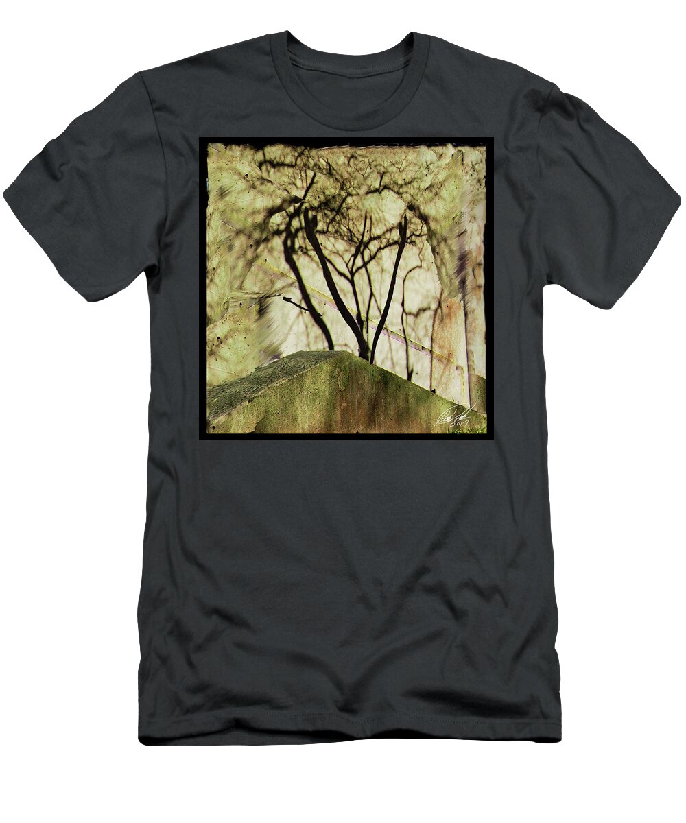 Abstract Concrete Wall Shadow Reflection Tree Rutgers Newark Hill Hall T-Shirt featuring the photograph Concrete Jungle by Leon deVose